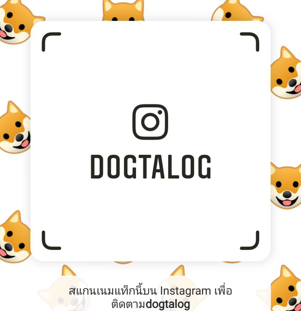 IG : dogtalog
