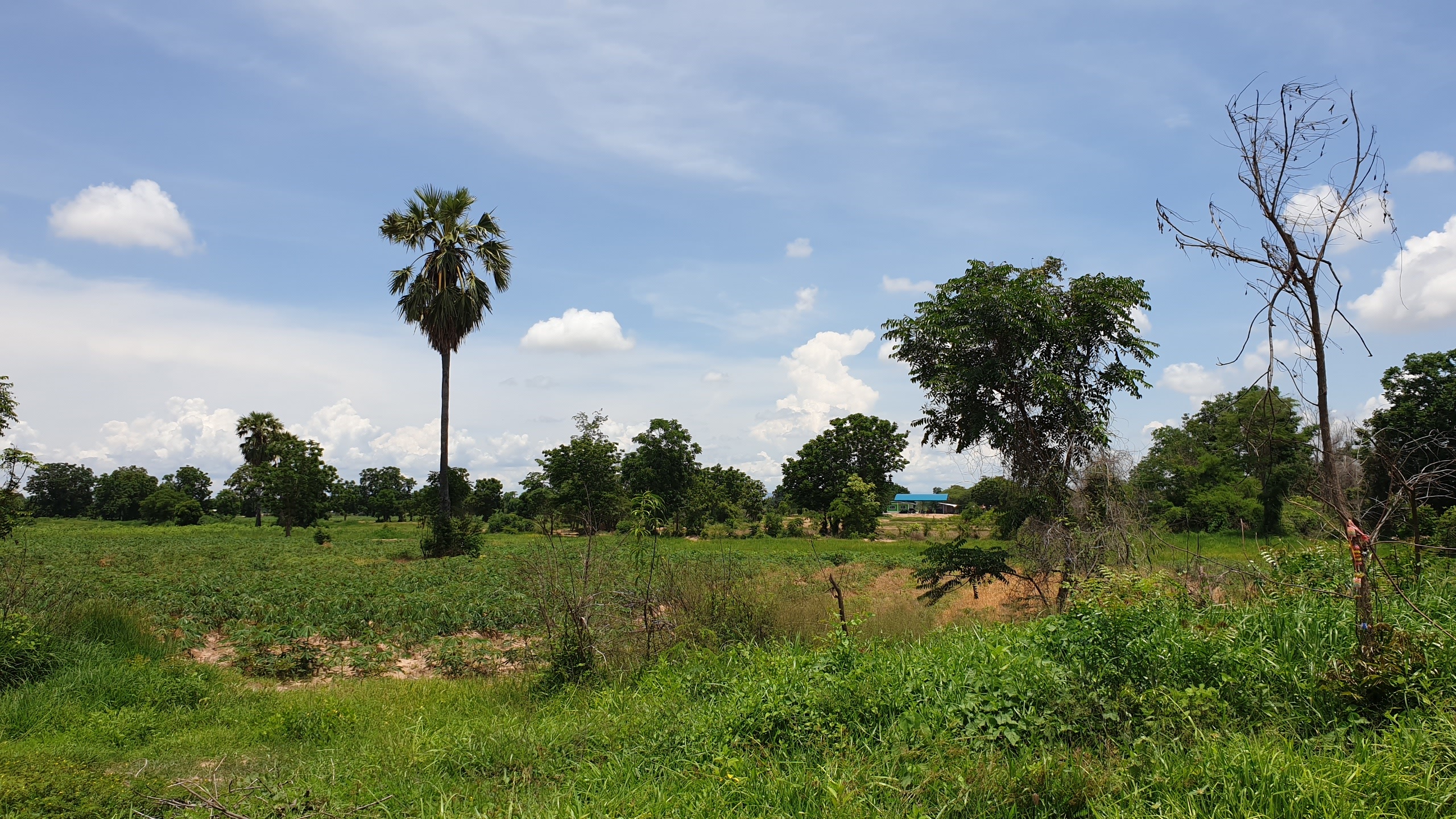 ขายที่ดินราคาถูก ดินดี น้ำดี ติดคลองใหญ่ อ.เลาขวัญ จ.กาญจนบุรี เนื้อที่ 29 ไร่ ไร่ละ 1.3 แสน อยู่ในแหล่งชุมชน ใกล้วัด ใกล้โรงเรียน รถยนต์ ไฟฟ้า นํ้า เข้าถึง