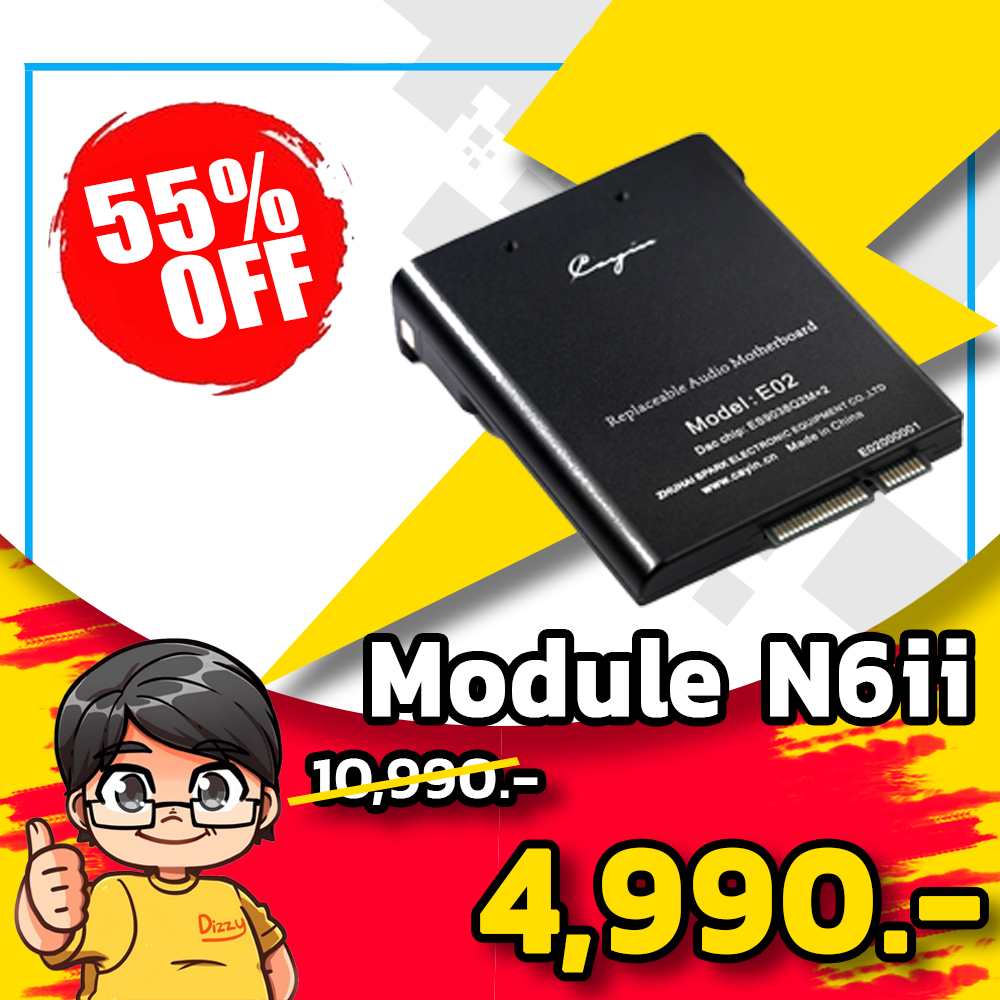 ขาย Cayin E01 ภาคแอมป์ module E01 ของ Cayin n6ii