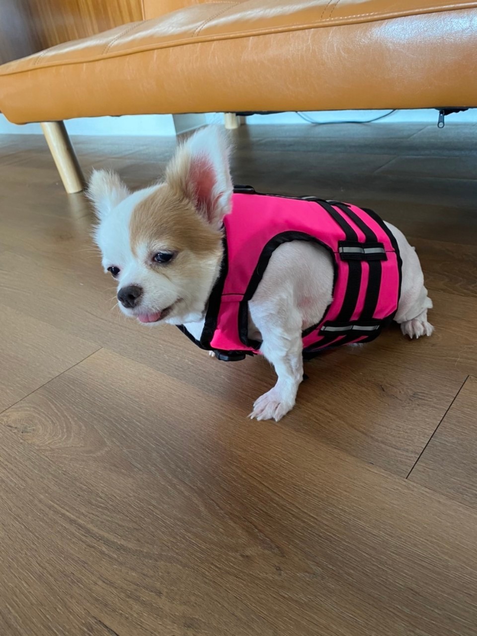 เสื้อชูชีพสุนัขแบบเสื้อกล้าม : สีชมพู