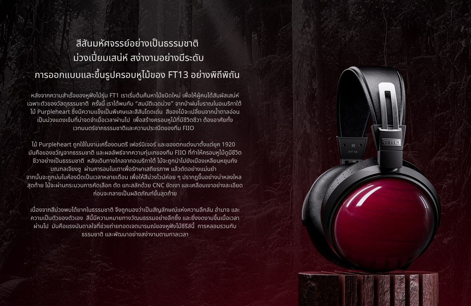 FiiO FT13 หูฟังเฮดโฟนบอดี้ไม้ สัมผัสหรูหรา คุณภาพเสียงที่เป็นเอกลักษณ์ ประกันศูนย์ไทย