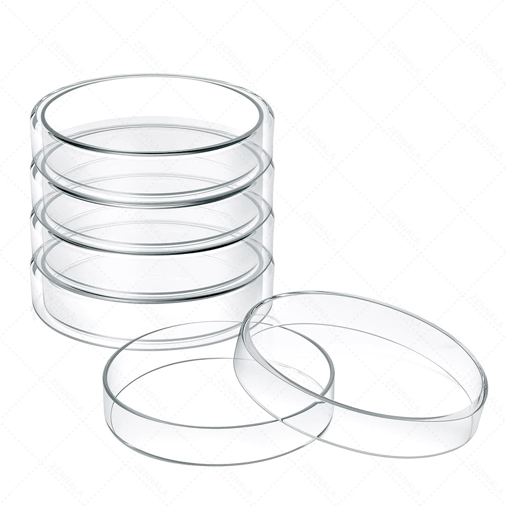 จานเพาะเชื้อ แบบแก้ว Glass Petri Dishes มีให้เลือก 3 ขนาด