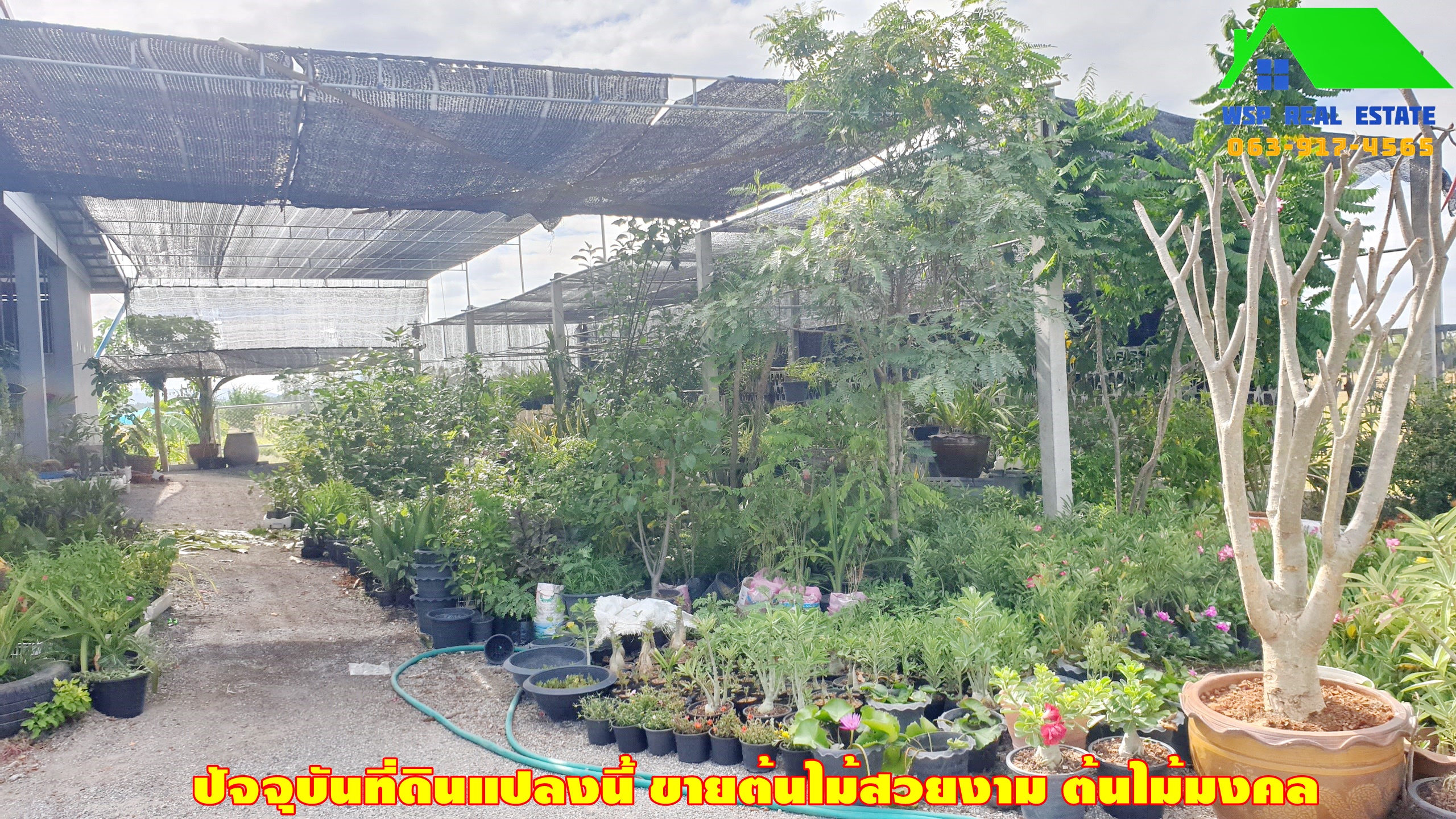 ขายที่ดินพร้อมสิ่งปลูกสร้าง 2 ไร่ อ.อู่ทอง จ.สุพรรณบุรี ติดถนนเส้นหลักทางหลวง 333 อู่ทอง-สระกระโจม บ้านสวย พร้อมอยู่