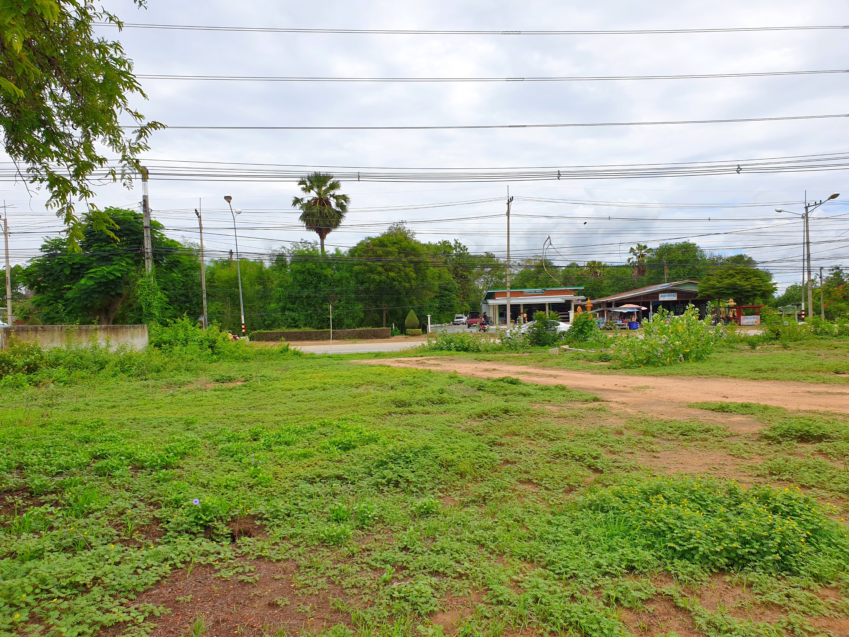 ขายที่ดินแปลงสวย ทำเลทอง จ.สุพรรณบุรี เนื้อที่ 19 ไร่ 2 งาน 69 ไร่ ติดถนนใหญ่ 4 เลน ทางหลวงแผ่นดิน (322) อู่ยา-ดอนเจดีย์