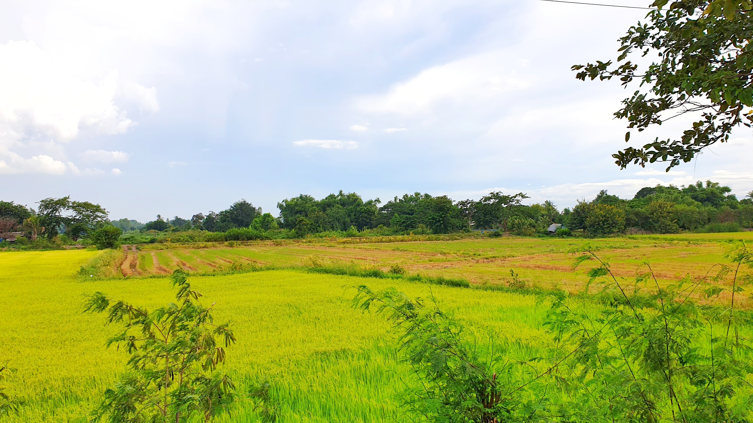 💰ขายแล้ว💰ขายที่ดินแปลงสวยเมืองสุพรรณบุรี ติดถนนใหญ่ 4 เลน เลี่ยงเมืองสุพรรณบุรีสาย 357 เนื้อที่ 6 ไร่ 1 งาน ที่สวย ทำเลทอง