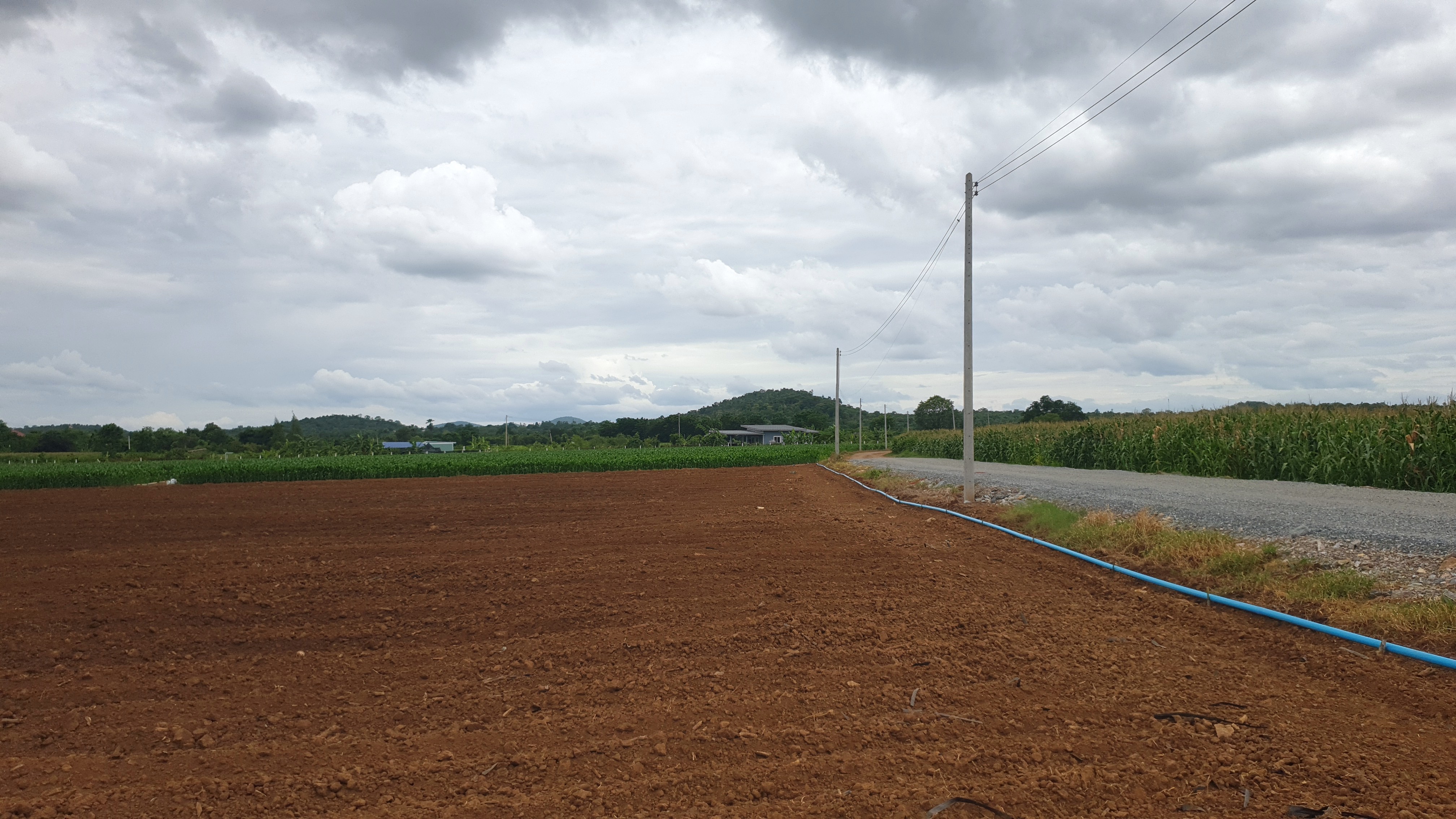 ขายที่ดินสวย 12 ไร่ 2 งาน 53.5 ตร.ว. หน้ากว้างติดถนนสาธารณะ 193 ม. วิวภูเขา 180° อากาศดี เงียบสงบ เหมาะทำบ้านพัก รีสอร์ต หรือเกษตรครบวงจร โอบล้อมด้วยทิวเขา 180° วิวอลังการเต็มตา บรรยากาศธรรมชาติสุดฟิน