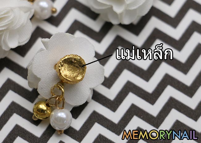 ดอกไม้ แม่เหล็ก,Flower magnets