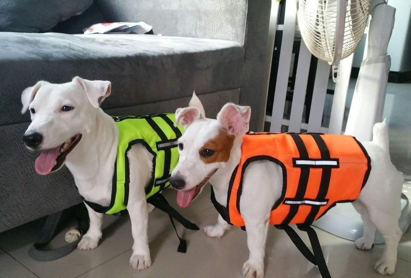 เสื้อชูชีพสุนัขแบบเสื้อกล้าม : สีเขียว