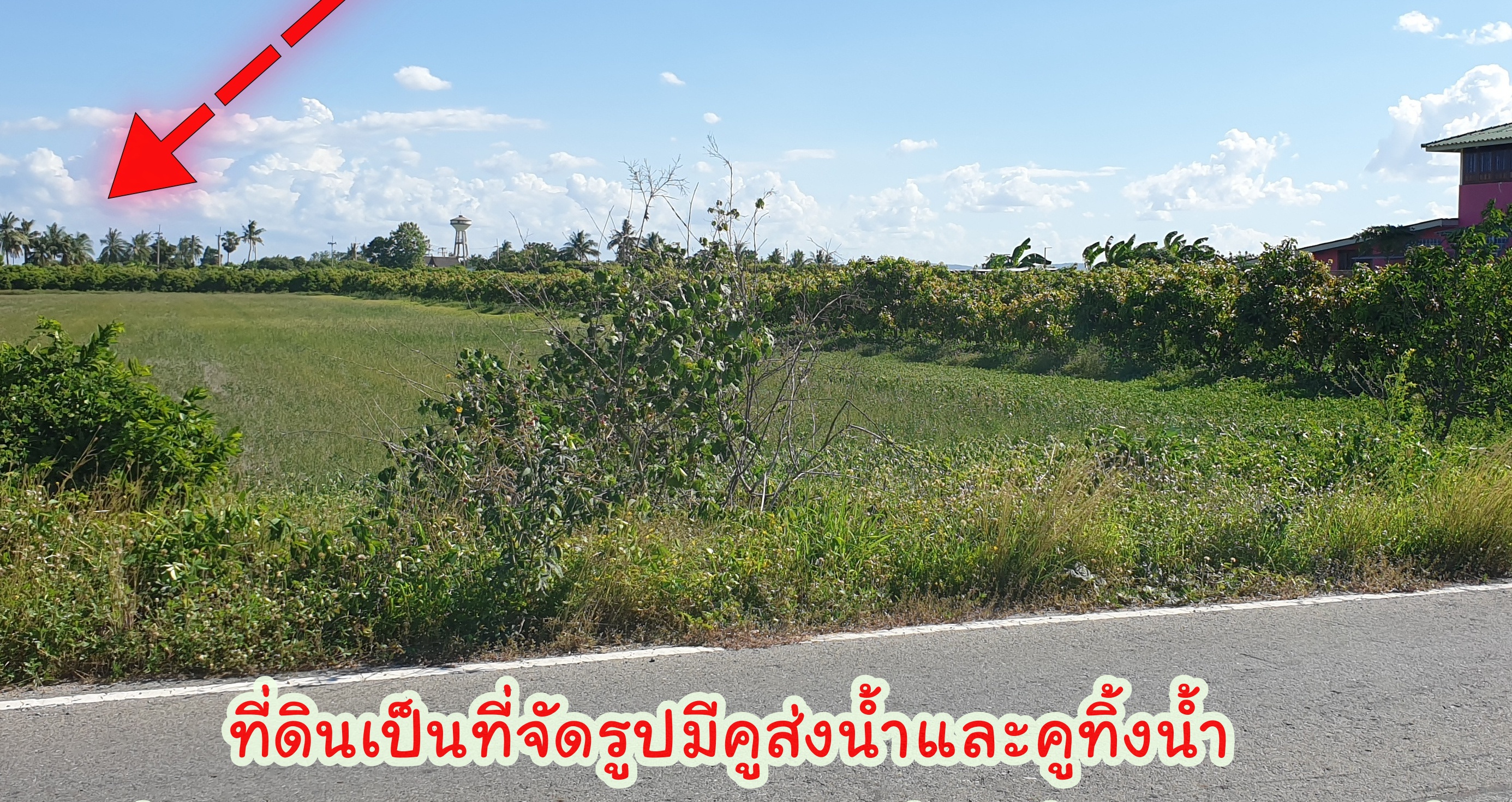 🌌ติดทรัพย์🌌ขายที่ดินติดถนนลาดยาง อ.เมือง จ.สุพรรณบุรี เนื้อที่ 4 ไร่ 2 งาน หน้ากว้างติดถนน 36 เมตร ลึก 195 เมตร อยู่ใกล้ แหล่งน้ำคลองมะขามเฒ่า น้ำอุดมสมบุรณ์ตลอดปี อยู่ใกล้ชุมชน เหมาะปลูกบ้านทำสวนเกษตร ยามเกษียณ หรือเปิดร้านอาหารท่ามกลางธร