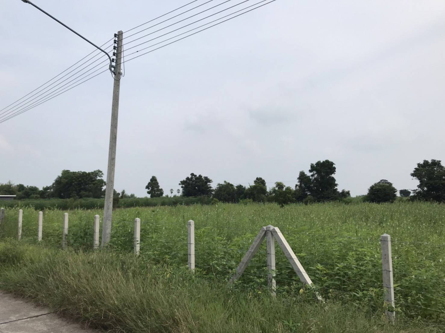 ขายด่วน! ที่ดินทำเลทอง วิวสวย ใกล้ชิดธรรมชาติ ที่ดิน 2 ไร่ บรรยากาศสุดฟิน วิวภูเขาเตะตา ไร่ละ 499,990 บาท (รวมค่าโอนและภาษีทั้งหมด) ต.พลับพลาชัย อ.อู่ทอง จ.สุพรรณบุรี ทำเลดีเยี่ยม: ติดถนนคอนกรีตขนาดกว้าง รถสวนกันได้สะดวก