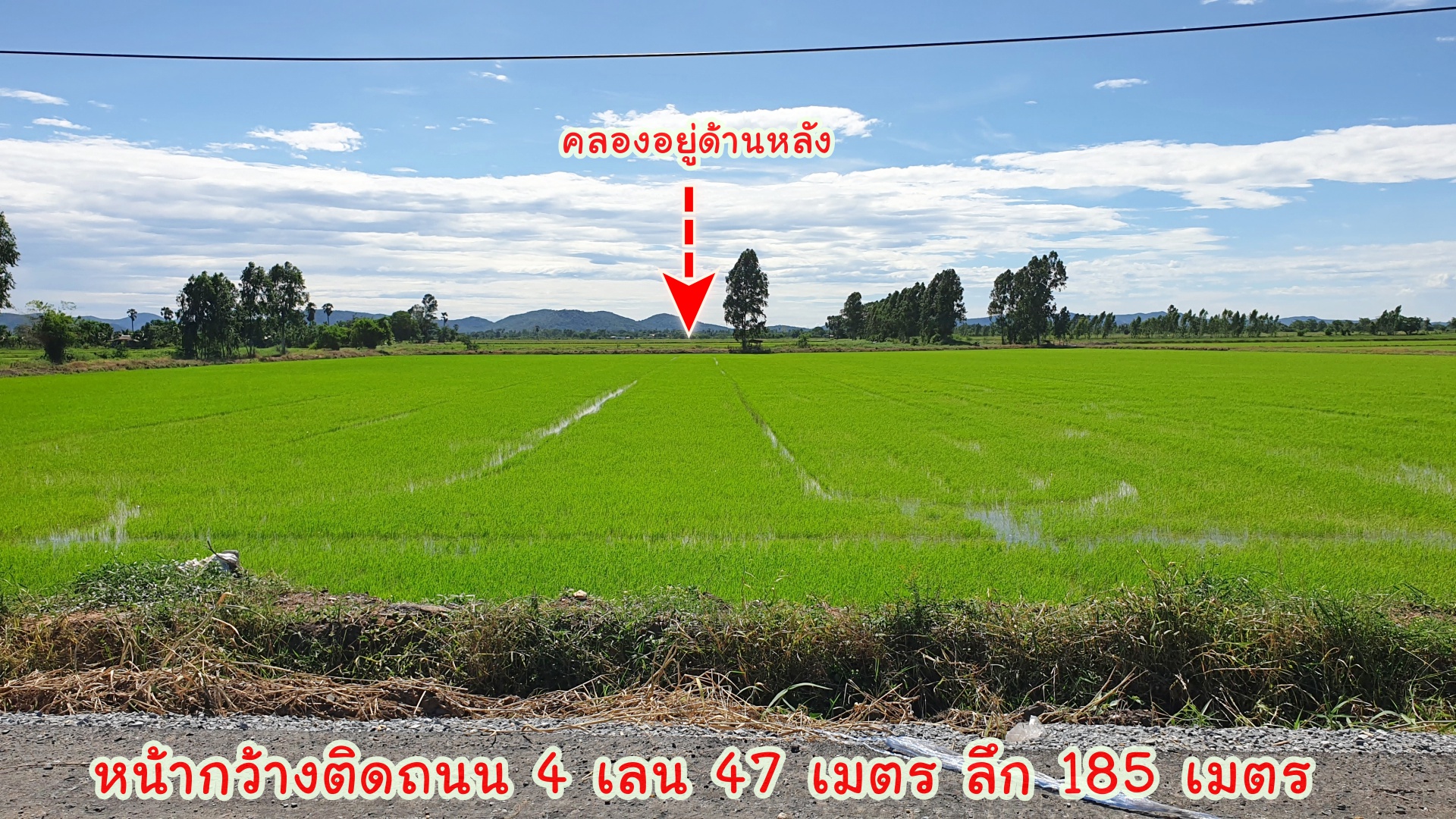 💰ติดทรัพย์💰ขายที่ดินแปลงสวย ทำเลทอง ติดถนนสี่เลน อ.อู่ทอง จ.สุพรรณบุรี เนื้อที่ 4-3-66 ไร่ ไร่ละ 1.4 ล้าน หน้ากว้างติดถนน 47 เมตร ลึก 185 เมตร ทำเลดี ที่สวย อยู่ใกล้สถานที่ท่องเที่ยวหลายแห่งในเมืองสุพรรณ