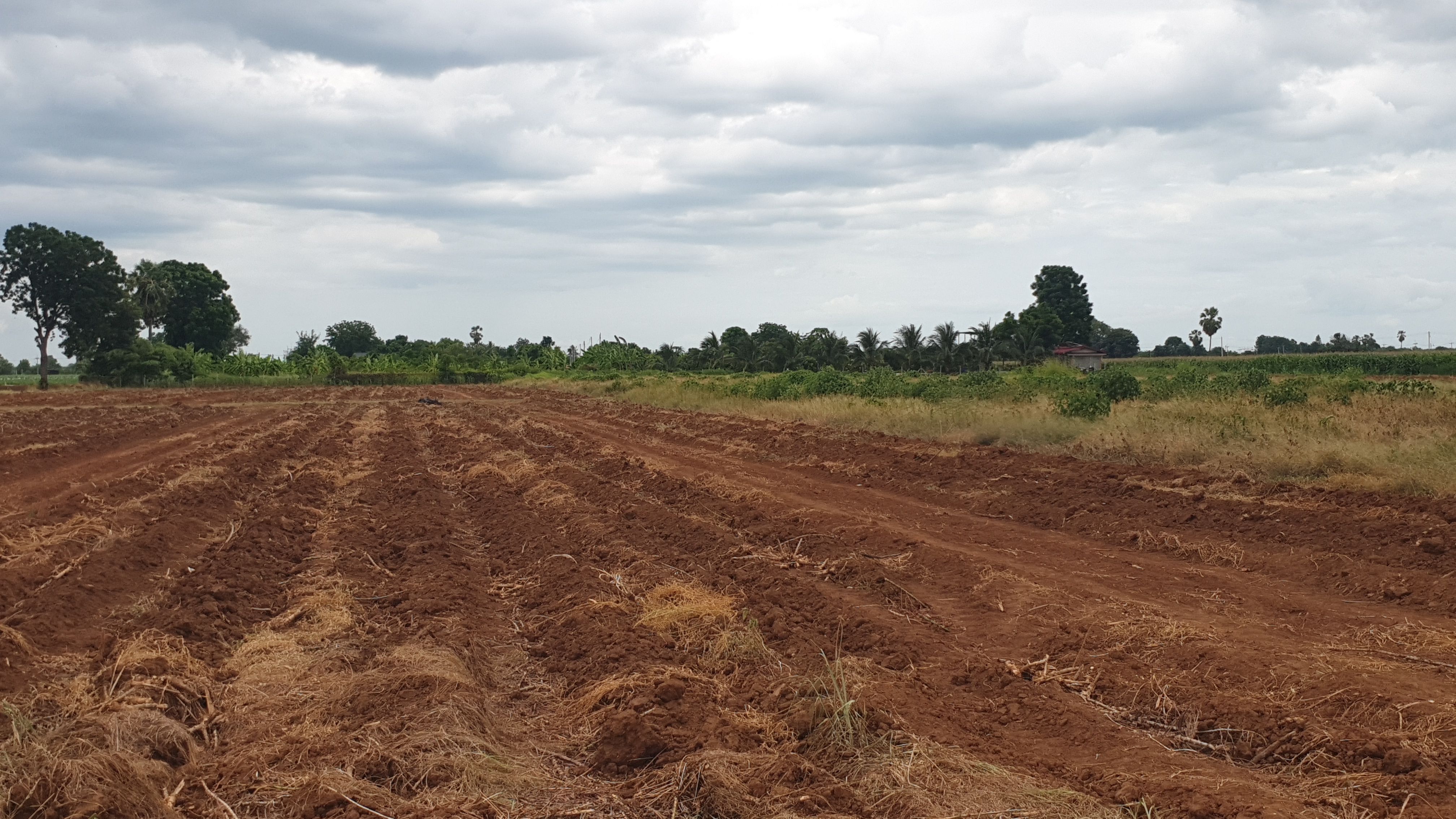 ขายที่ดินวิวภูเขา 180° อ.อู่ทอง จ.สุพรรณบุรี ใกล้แลนด์มาร์คสำคัญใน อ.อู่ทอง เนื้อที่: 16 ไร่ 1 งาน 26.8 ตร.ว. | ราคาไร่ละ 308,888 บาท ต.พลับพลาไชย อ.อู่ทอง จ.สุพรรณบุรี