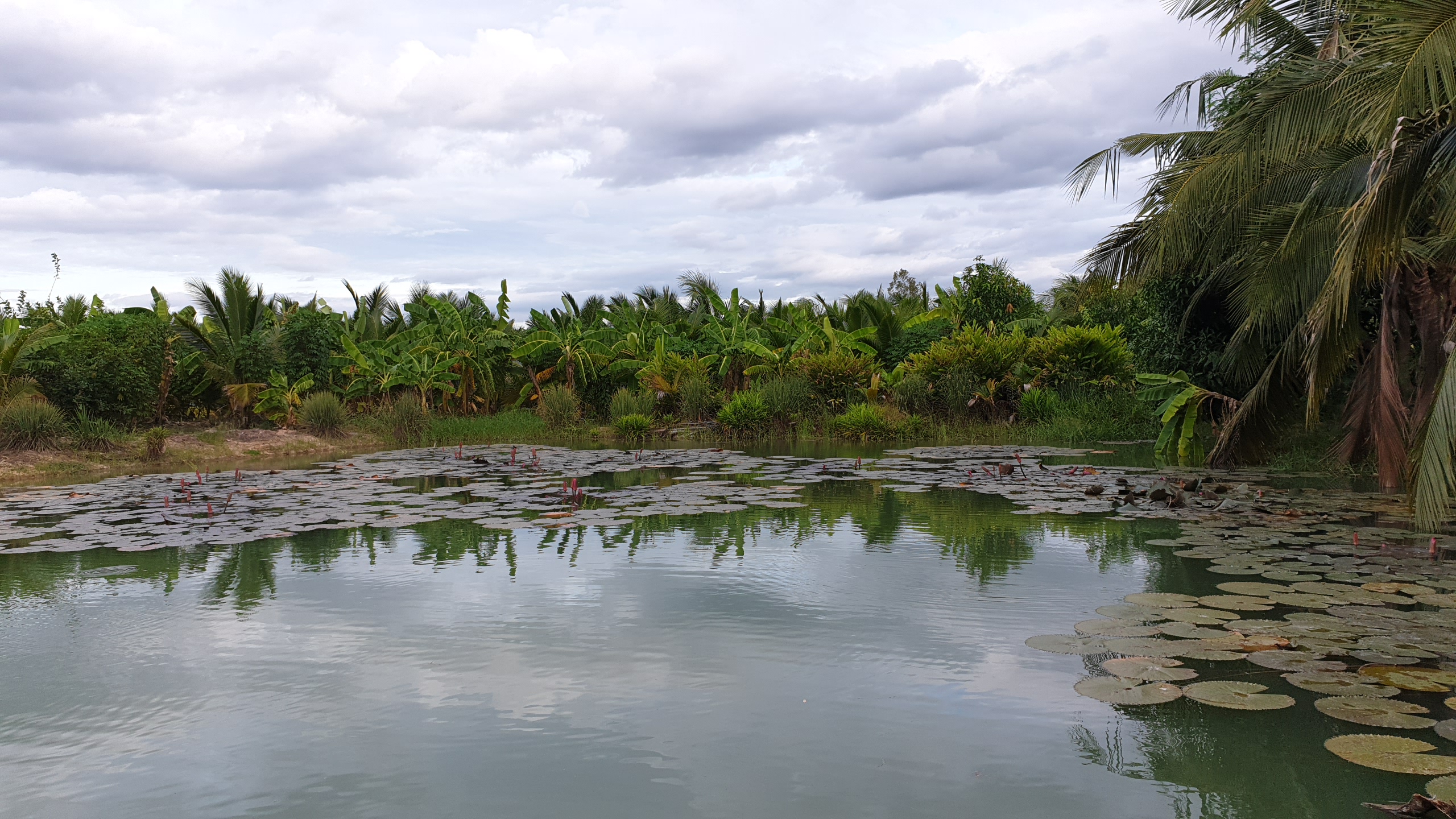 💰ขายแล้ว💰ขายที่ดินสวนมะพร้าวน้ำหอม อ.อู่ทอง จ.สุพรรณบุรี เนื้อที่ 20 ไร่ พร้อมบ้านสวยพร้อมอยู่ ขายยกแปลง 12 ล้าน บรรยากาศดี สงบ ร่มรื่น น้ำท่า อุดมสมบูรณ์