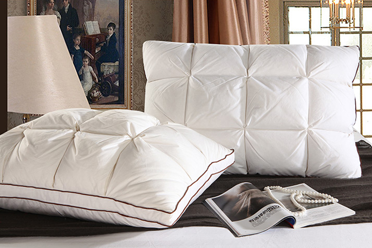 หมอนขนห่าน ใบใหญ่