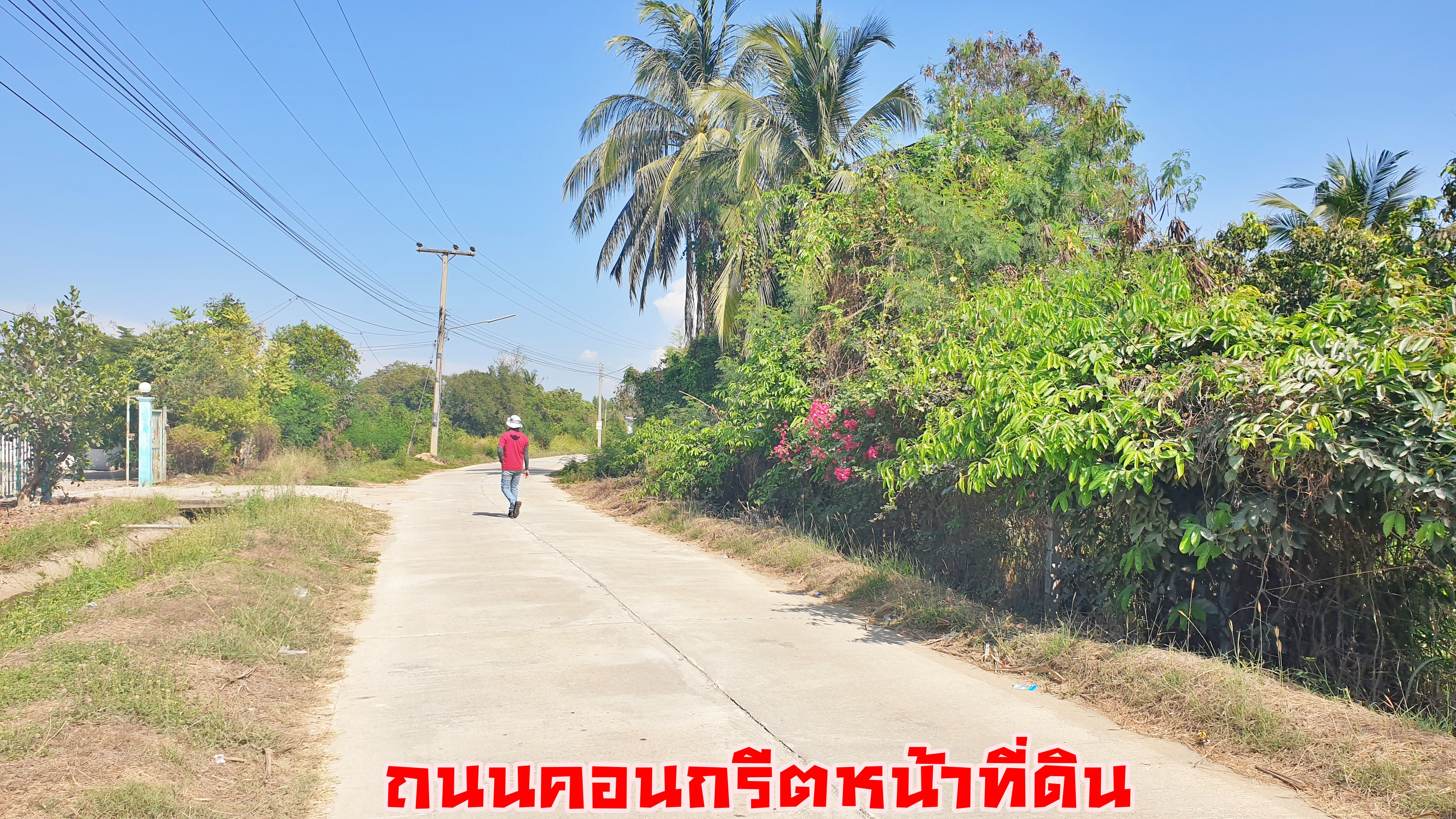 💰ขายแล้ว💰ขายที่ดินแปลงสวย 1-2-85 ไร่ อ.อู่ทอง จ.สุพรรณบุรี ที่ดินถมเรียบร้อย มีสวนมะม่วง ใกล้คลองชลประทาน ใกล้ถนนทางหลวงแผ่นดินหมายเลข 321