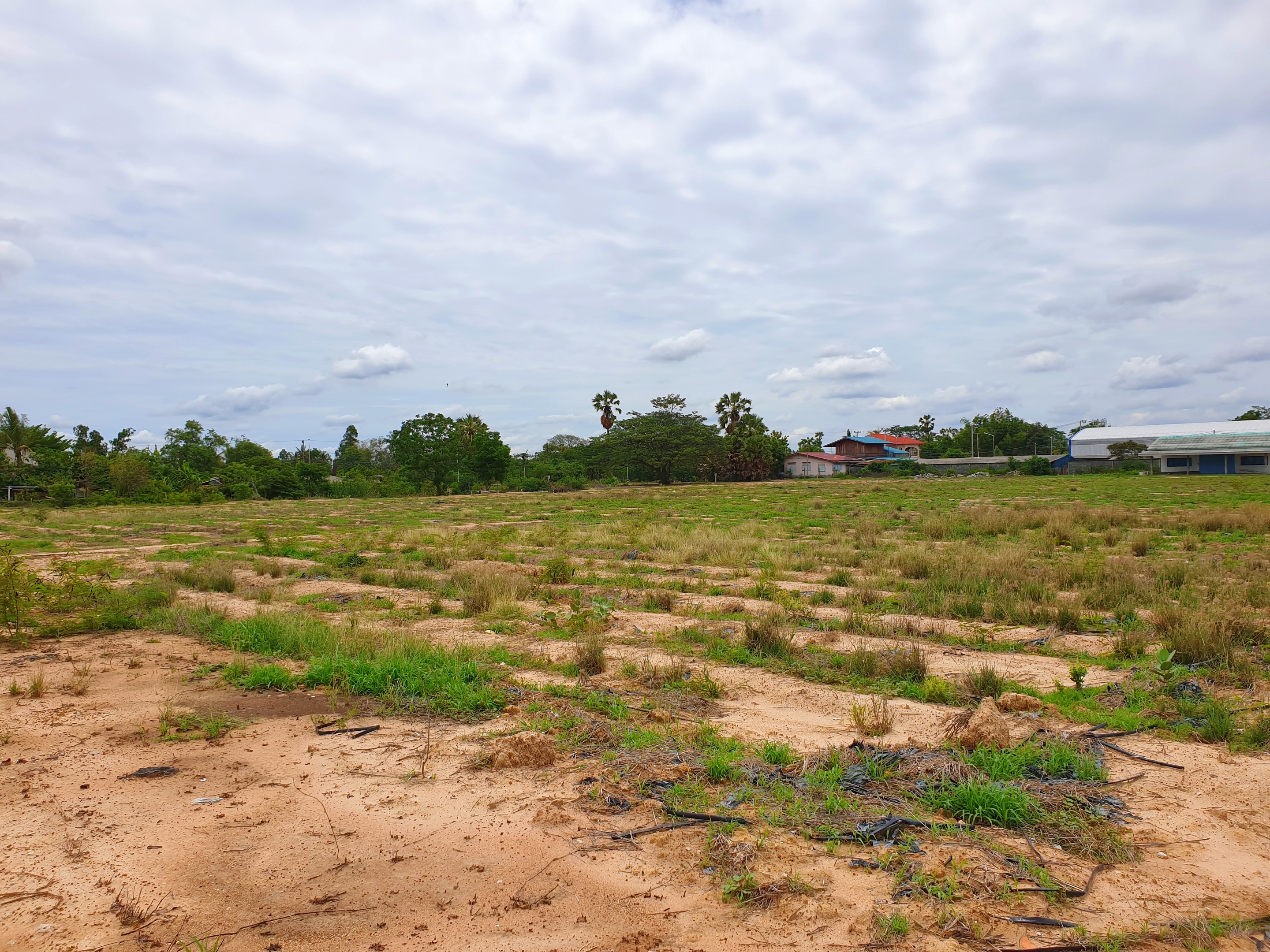 ขายที่ดินแปลงสวย ทำเลทอง จ.สุพรรณบุรี เนื้อที่ 19 ไร่ 2 งาน 69 ไร่ ติดถนนใหญ่ 4 เลน ทางหลวงแผ่นดิน (322) อู่ยา-ดอนเจดีย์