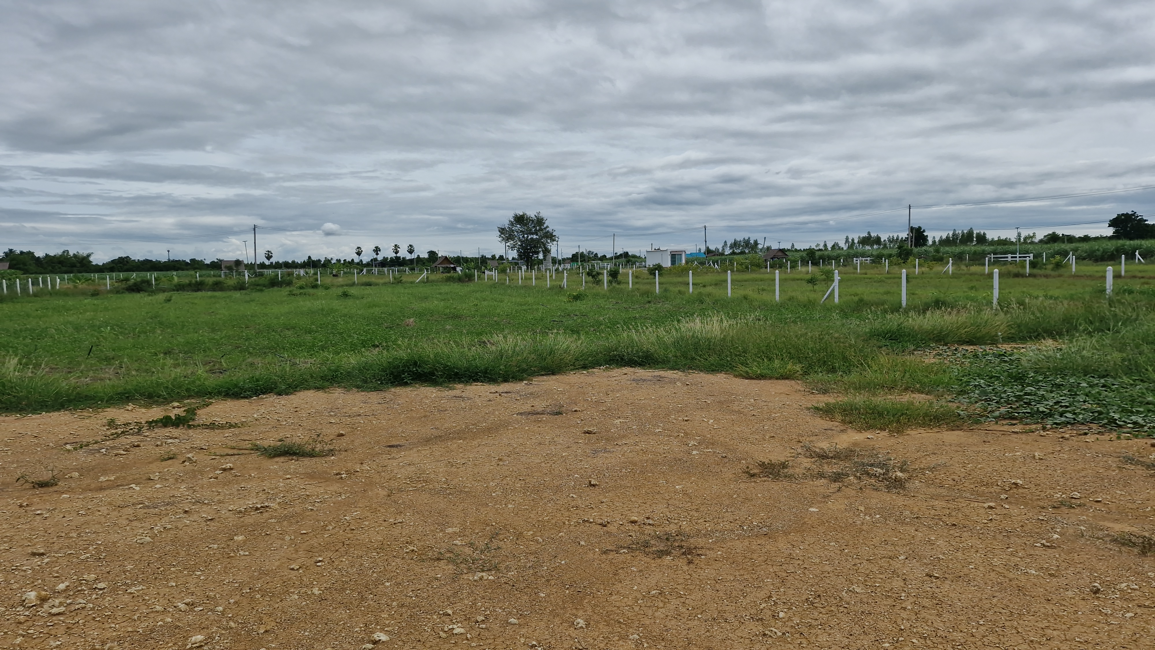 ขายถูก! ที่ดิน 1 ไร่ 2 งาน อ.อู่ทอง สุพรรณบุรี ถมแล้วพร้อมรั้ว ติดถนนลาดยาง ใกล้โรงเรียน วัด โรงพยาบาล ตลาดสด หน้ากว้าง 32 ม. ลึก 82 ม. ถมแล้ว มีรั้ว 💰 ราคาเพียง 629,000 บาท