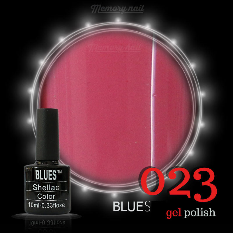 สีเจลทาเล็บ BLUESKY,สีเจลทาเล็บ ราคาส่ง,สีเจลทาเล็บราคาถูก,ขายส่ง สีเจลทาเล็บ,สีเจลทาเล็บ BLUES