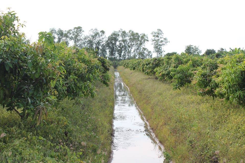 ð°āļāļēāļĒāđāļĨāđāļ§ð°āļāļēāļĒāļāļĩāđāļāļīāļāļŠāļ§āļāļĄāļ°āļĄāđāļ§āļ āļ.āđāļĄāļ·āļāļ āļ.āļŠāļļāļāļĢāļĢāļāļāļļāļĢāļĩ āđāļāļ·āđāļāļāļĩāđ 10-0-22 āđāļĢāđ āļāļēāļĒāđāļĢāđāļĨāļ° 5 āđāļŠāļ āļāđāļēāļāļŦāļāđāļēāļāļīāļāļāļāļāļāļēāļāļŦāļĨāļ§āļāļāļāļāļ 3006 āļāļĩāđāļŠāļ§āļĒ āļŦāļāđāļēāļāļ§āđāļēāļāļāļīāļāļāļāļ 85 āđāļĄāļāļĢ ðāļāđāļēāļāļŦāļĨāļąāļāļāļāļāļŠāļēāļāļēāļĢāļāļ°āļāļĢāļ°āđāļĒāļāļāđ āļāļ§āđāļēāļ 75 āđāļĄāļāļĢ āļĄāļ°āļĄāđāļ§āļ 800 āļāļ§āđāļēāļāđāļ āļāļēāļĒāļļ 5-6 āļāļĩ āļāļĢāđāļāļĄāđāļāđāļ