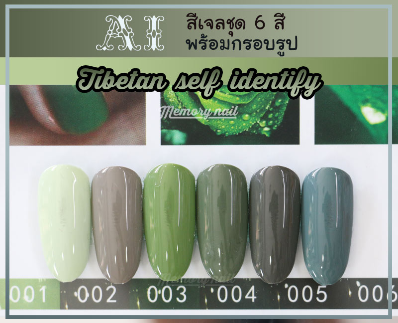 สีเจลทาเล็บ AI,สีเจล ยกเซ็ต,สีเจลขายยกเซ็ต,สีเจลทาเล็บ ราคาถูก,สีเจล 6สีราคาถูก