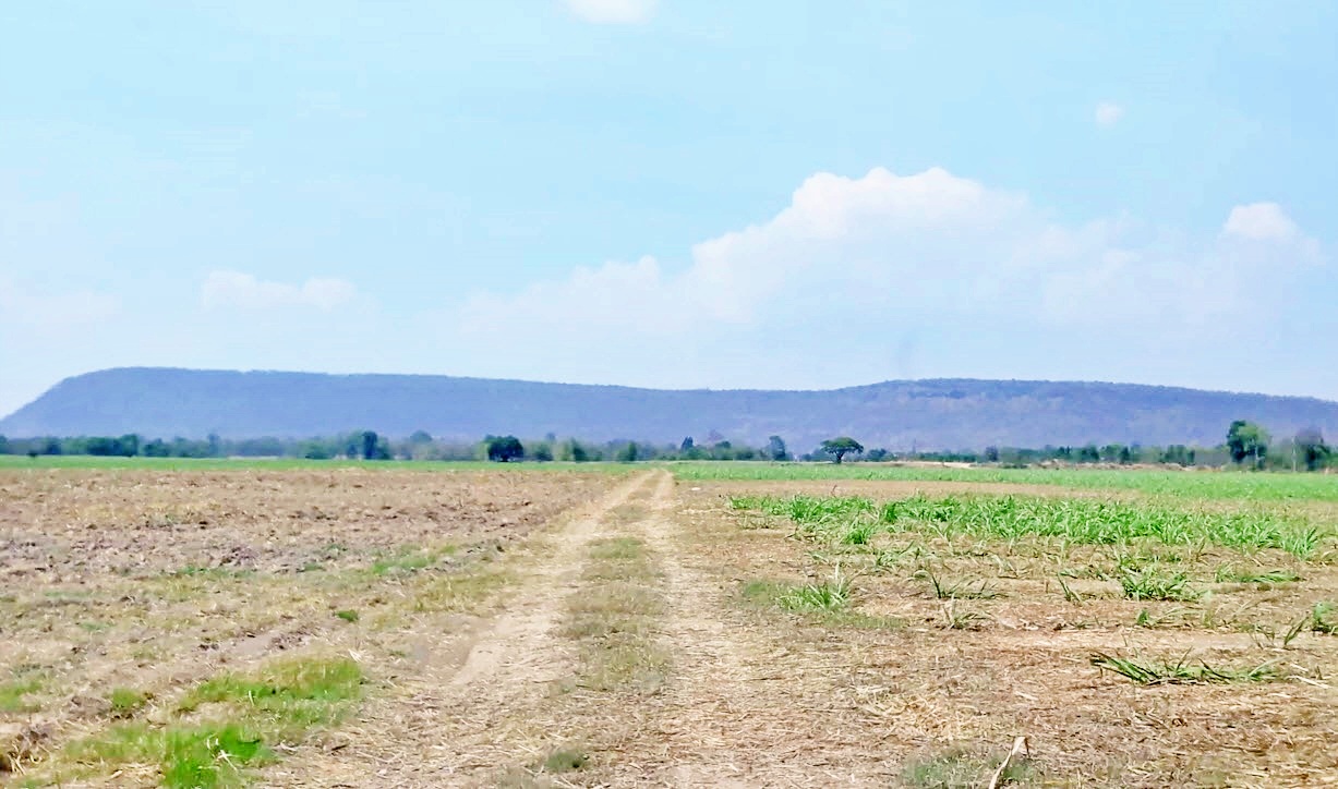 { ติดทรัพย์ } ขายที่ดินโคราช 346 ไร่ 2 งาน ไร่ละ 1.3 ล้าน ติดถนนสี่เลนสาย 304 กบินทร์บุรี-ปักธงชัย ที่สวย ด้านหน้าติดถนนสี่เลน ด้านหลังภูเขา เหมาะทำโครงการต่างๆ