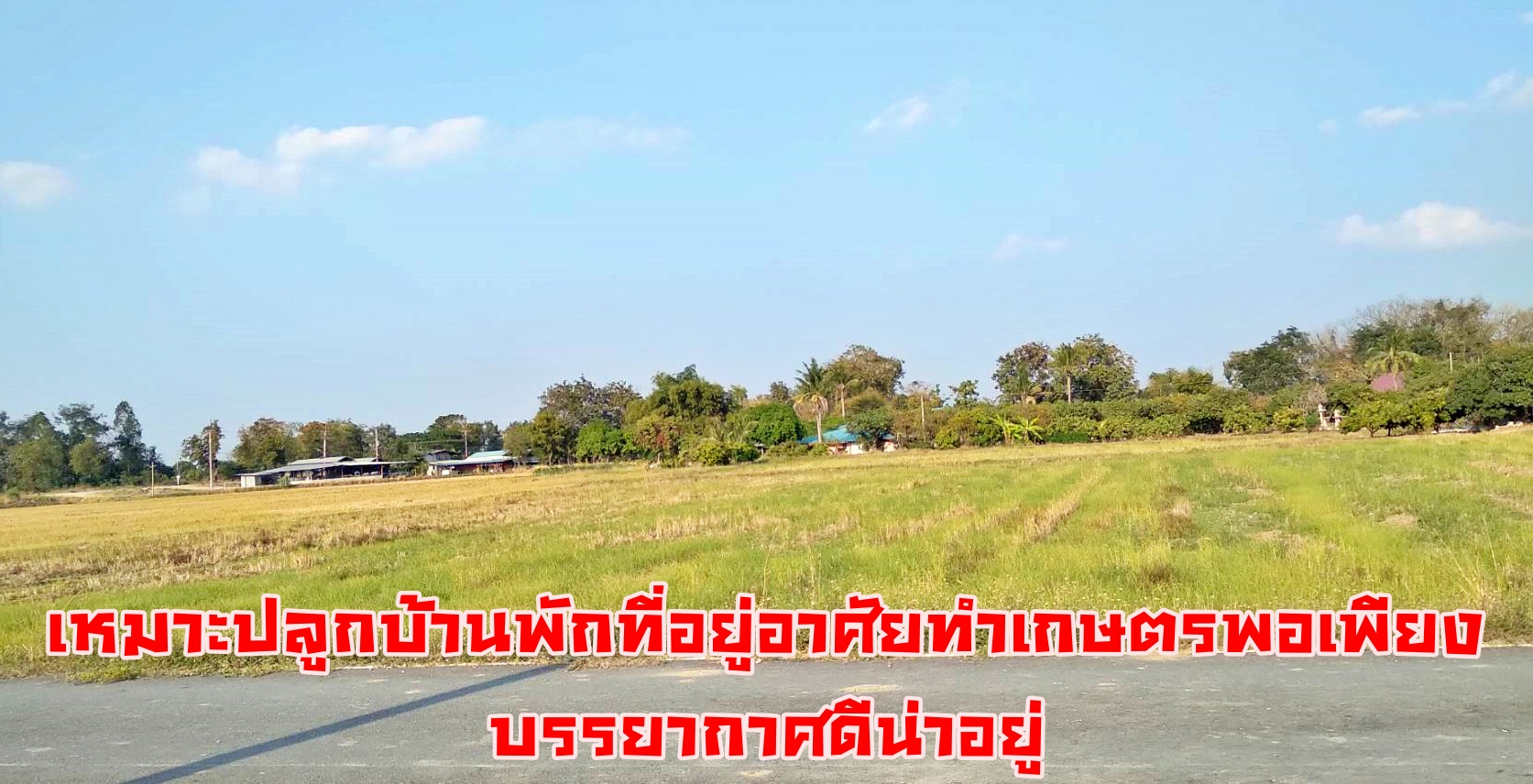 💰ขายแล้ว💰ขายที่ดินสวย ทำเลดีติดถนน อ.เมือง จ.สุพรรณบุรี เนื้อที่ 2 ไร่ ข ายยกแปลง 1,100,000 บาท ที่ดินติดถนนลาดยาง อยู่ใกล้คลองชลประทาน คลองมะขามเฒ่า-อู่ทอง ห่าง 150 เมตร ใกล้ถนนทางหลวงชนบท สพ 4059 เส้นไปดอนเจดีย์ห่าง 150 เมตร