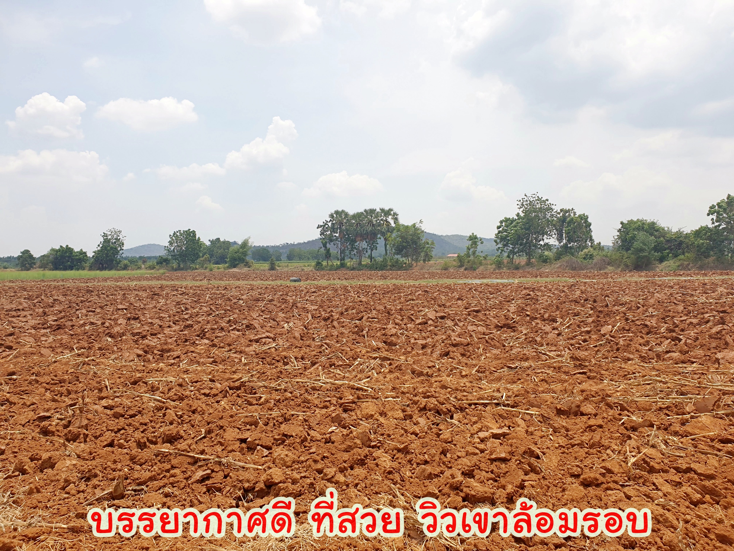 💰ขายแล้ว💰 ขายที่ดินวิวภูเขา เนื้อที่ 9 ไร่ 2 งาน ภูเขาล้อมรอบ บรรยากาศดี วิวทิวทัศน์สวยงาม ขายถูก ราคาหลักแสน วิวหลักล้าน มีบ่อบาดาลให้ 2 ลูก มีน้ำใช้ตลอดทั้งปี