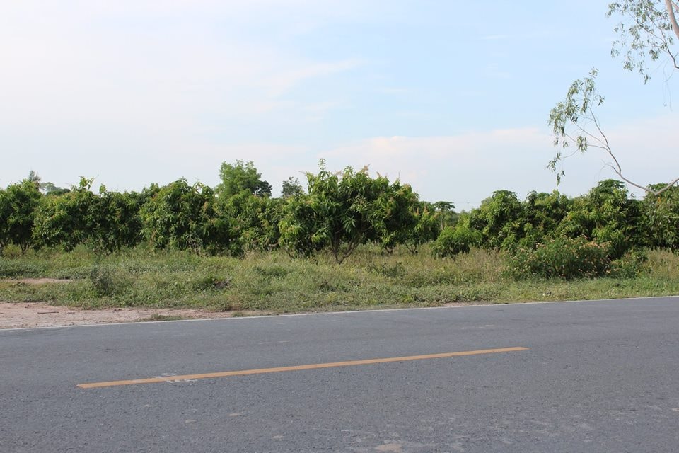 ð°āļāļēāļĒāđāļĨāđāļ§ð°āļāļēāļĒāļāļĩāđāļāļīāļāļŠāļ§āļāļĄāļ°āļĄāđāļ§āļ āļ.āđāļĄāļ·āļāļ āļ.āļŠāļļāļāļĢāļĢāļāļāļļāļĢāļĩ āđāļāļ·āđāļāļāļĩāđ 10-0-22 āđāļĢāđ āļāļēāļĒāđāļĢāđāļĨāļ° 5 āđāļŠāļ āļāđāļēāļāļŦāļāđāļēāļāļīāļāļāļāļāļāļēāļāļŦāļĨāļ§āļāļāļāļāļ 3006 āļāļĩāđāļŠāļ§āļĒ āļŦāļāđāļēāļāļ§āđāļēāļāļāļīāļāļāļāļ 85 āđāļĄāļāļĢ ðāļāđāļēāļāļŦāļĨāļąāļāļāļāļāļŠāļēāļāļēāļĢāļāļ°āļāļĢāļ°āđāļĒāļāļāđ āļāļ§āđāļēāļ 75 āđāļĄāļāļĢ āļĄāļ°āļĄāđāļ§āļ 800 āļāļ§āđāļēāļāđāļ āļāļēāļĒāļļ 5-6 āļāļĩ āļāļĢāđāļāļĄāđāļāđāļ