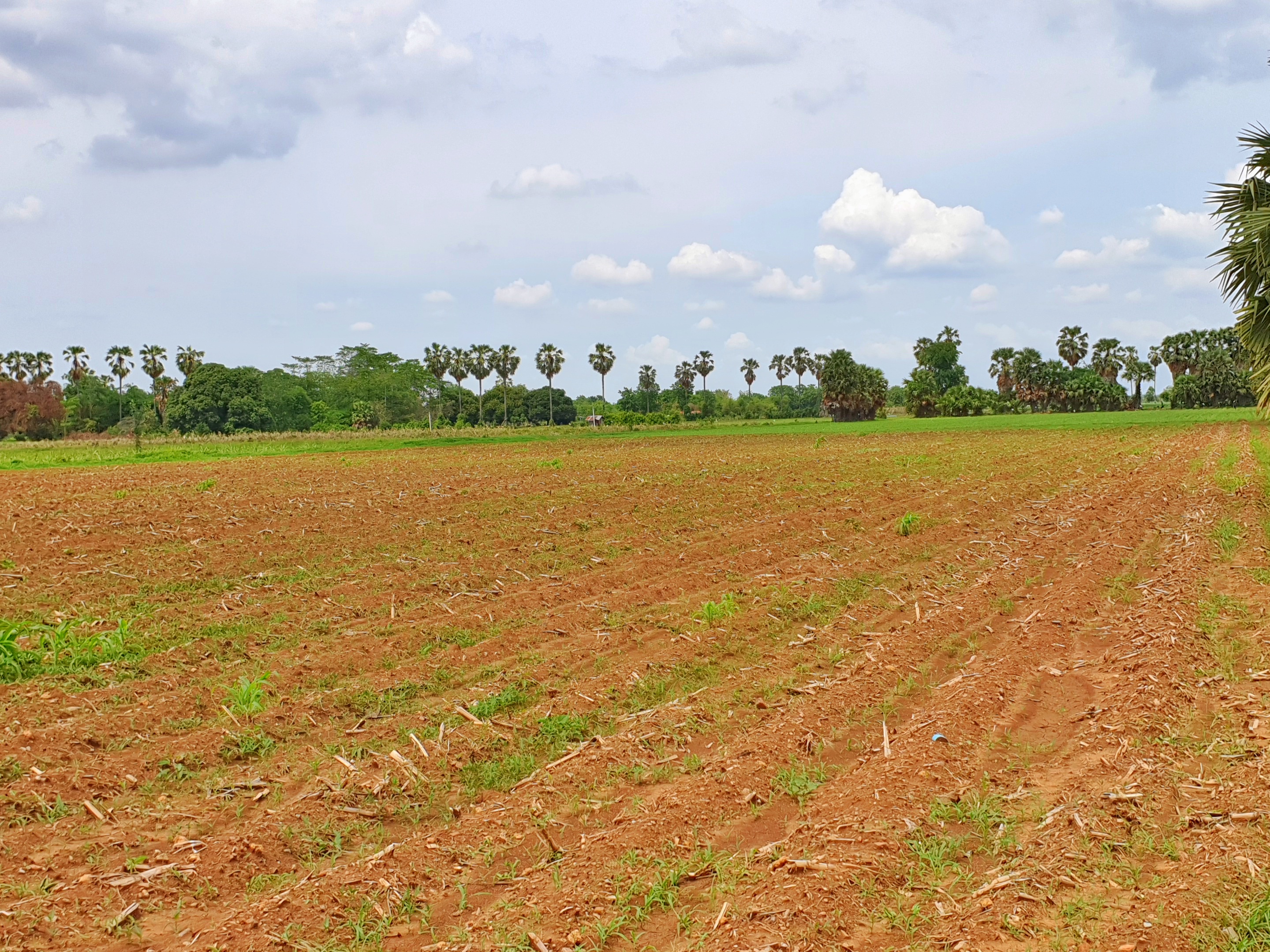 💰ขายแล้ว💰ขายที่ดินติดถนนลาดยาง วิวภูเขา อ.อู่ทอง จ. สุพรรณบุรี เนื้อที่ 9-3-18 ไร่ ขายไร่ละ 2.5 แสน ที่สวยบรรยากาศดี วิวทิวทัศน์สวยงาม ใกล้แหล่งชุมชน น้ำไฟเข้าถึง