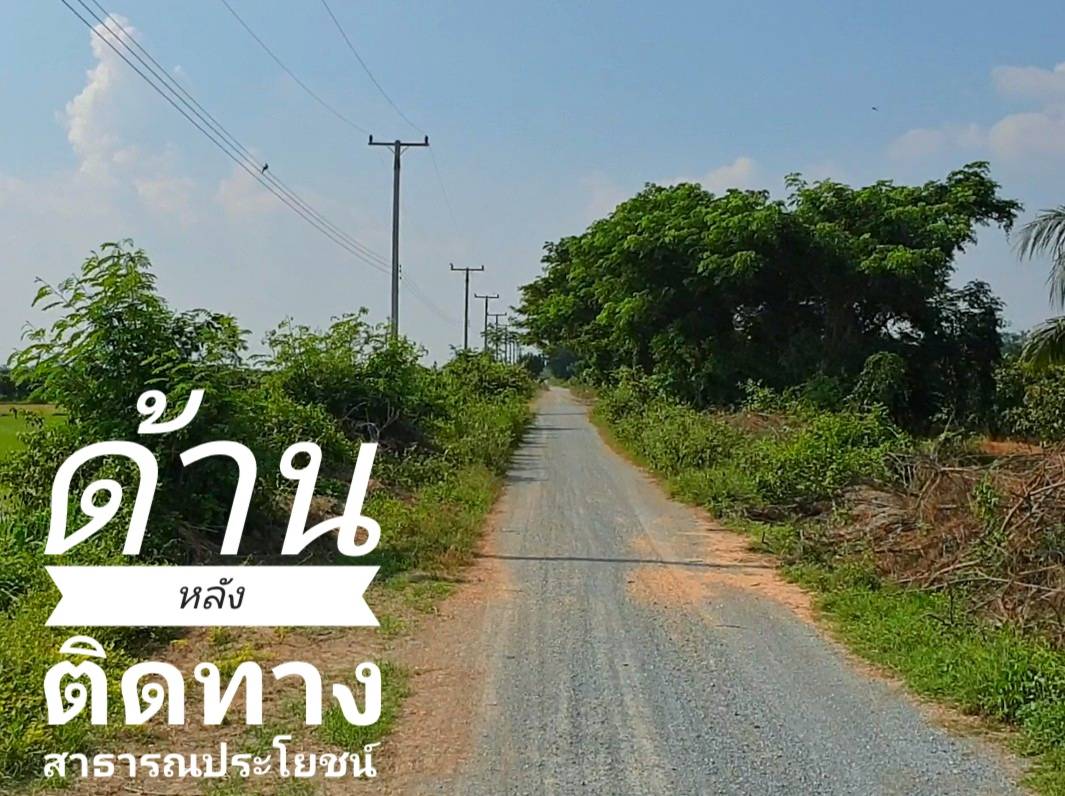 💰ขายแล้ว💰ขายที่ดินแปลงสวย ทำเลดี ติดถนนลาดยาง อ.เมือง จ.สุพรรณบุรี เนื้อที่ 5 ไร่ บรรยากาศดี วิวทิวทัศน์สวยงาม สงบร่มรื่น อยู่ในเขตชุมชน