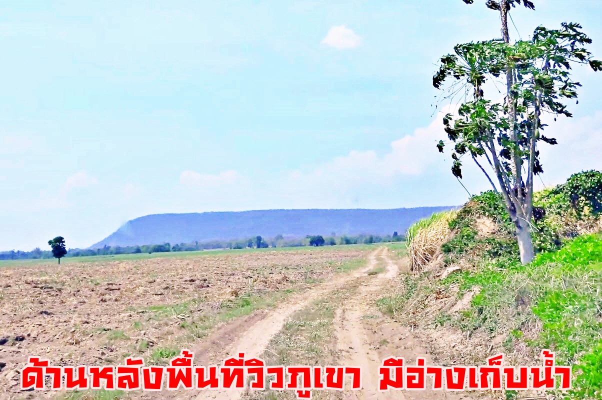 { ติดทรัพย์ } ขายที่ดินโคราช 346 ไร่ 2 งาน ไร่ละ 1.3 ล้าน ติดถนนสี่เลนสาย 304 กบินทร์บุรี-ปักธงชัย ที่สวย ด้านหน้าติดถนนสี่เลน ด้านหลังภูเขา เหมาะทำโครงการต่างๆ