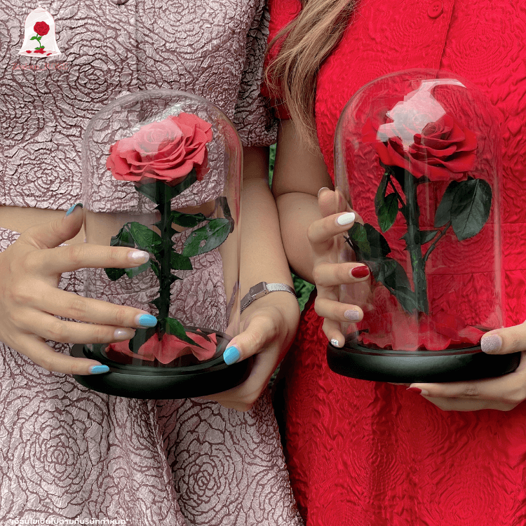 กุหลาบสดในโหลแก้ว 3 ขนาด Size S, M, L พร้อมกล่องสุด Premium