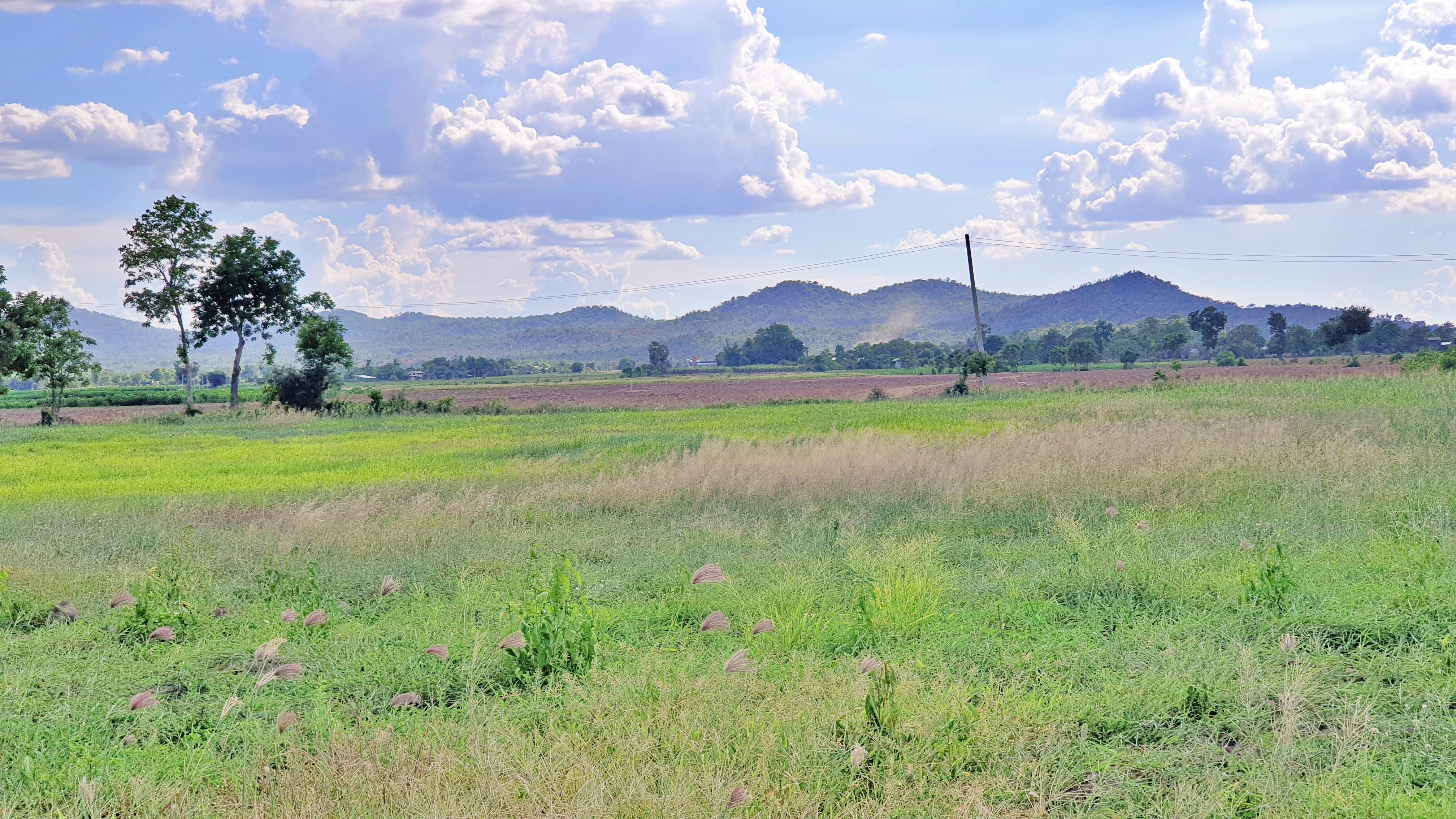 💰ขายแล้ว💰⚜ติดทรัพย์⚜ขายที่ดินแปลงสวย วิวภูเขา บรรยากาศดี อ.อู่ทอง จ.สุพรรณบุรี เนื้อที่ : 34 ไร่ ไร่ละ 2.3 แสน ที่สวยบรรยากาศดี วิวทิวทัศน์สวยงาม วิวภูเขา ใกล้แหล่งชุมชน