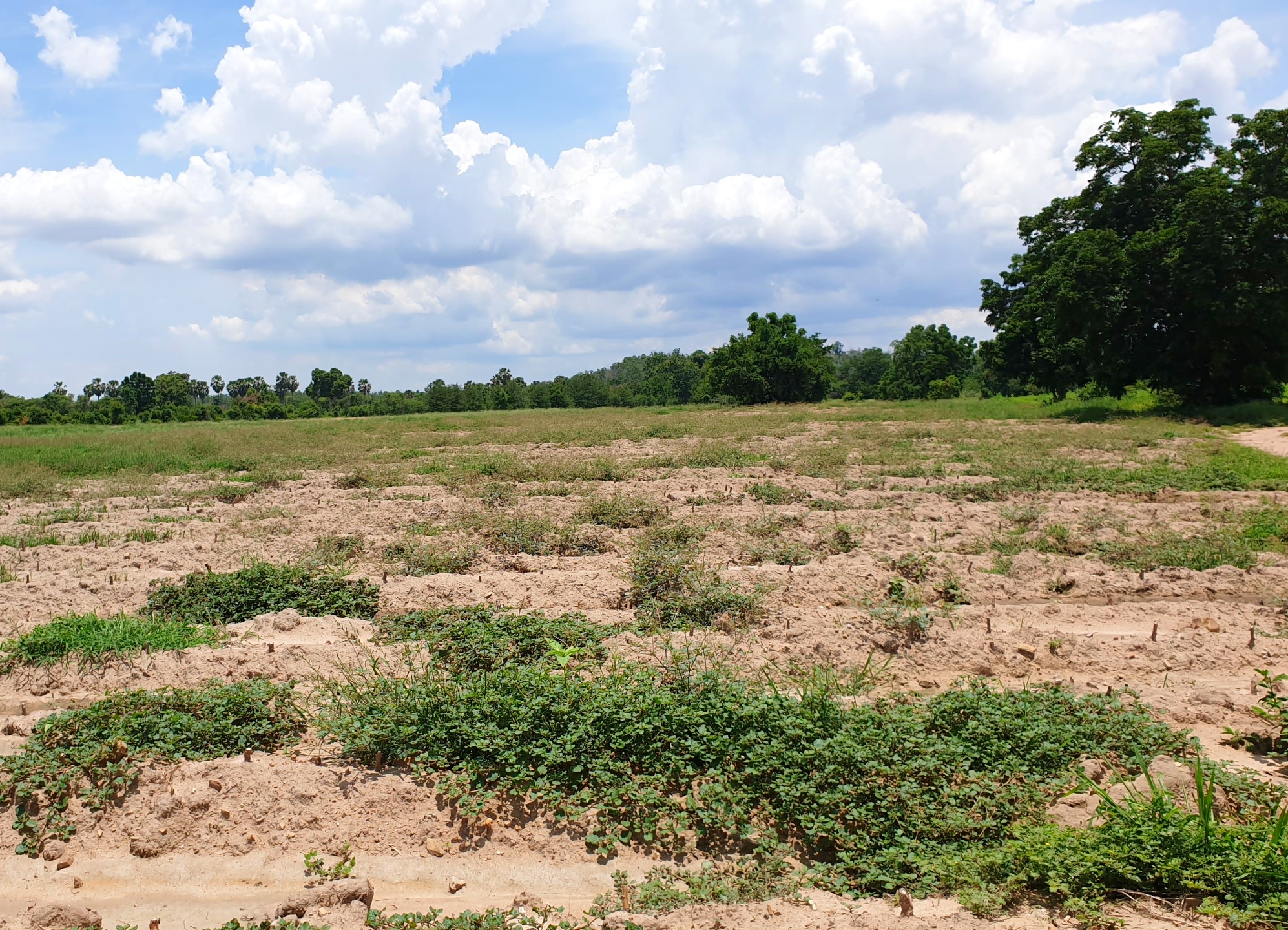 💰ขายแล้ว💰ขายที่ดินติดถนนลาดยาง ทำเลดี ที่สวยมาก จ.สุพรรณบุรี อ.ดอนเจดีย์ บรรยากาศดี วิวสวย วิวภูเขา เนื้อที่ 26-3-44 ไร่ พื้นที่มีความเจริญ การเดินทางสะดวกสบาย