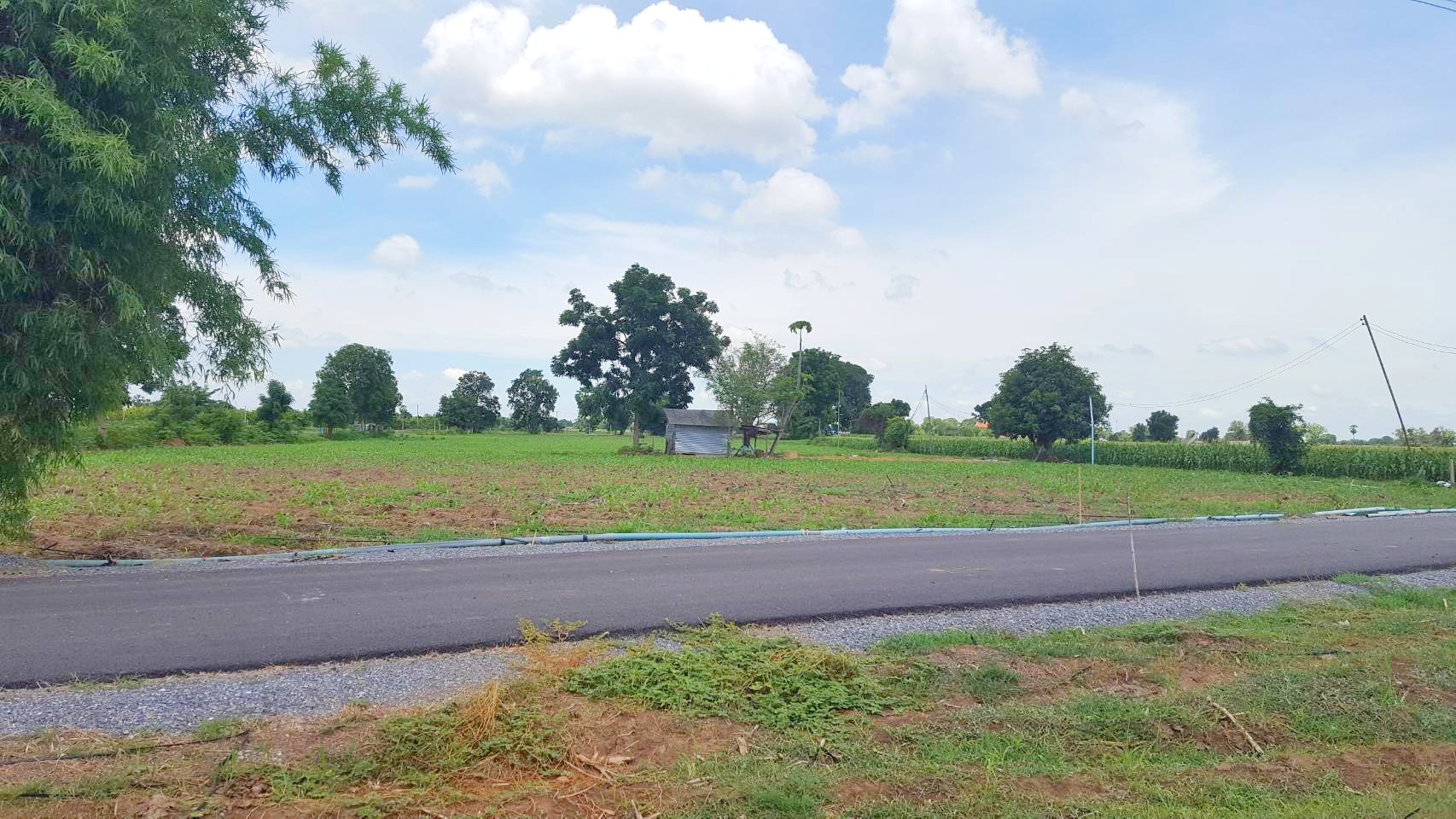 💰ขายแล้ว💰ขายที่ดินวิวสวย ติดถนนลาดยาง บรรยากาศดี วิวทิวทัศน์สวยงาม อ.อู่ทอง จ.สุพรรณบุรี เนื้อที่ 10 ไร่ ราคาไร่ละ 280,000 บาท ด้านหน้าติดถนนลาดยาง เข้า-ออก ได้หลายทาง