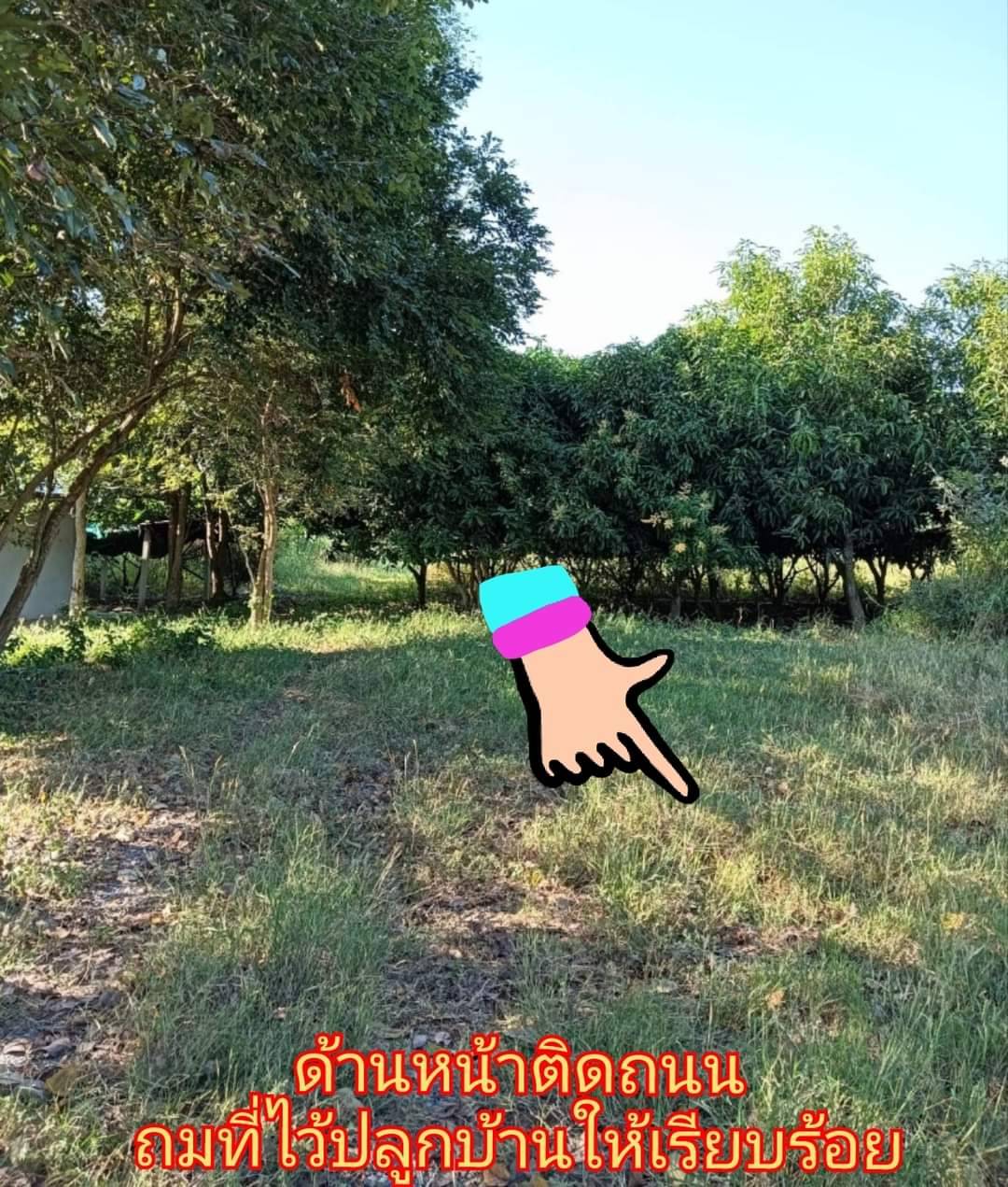 ขายที่ดินสวนมะม่วง 2 ไร่ บรรยากาศดี ทำเลเยี่ยม ราคาถูก! ติดดถนนลาดยาง 2 ด้าน: ต.สนามคลี อ.เมือง จ.สุพรรณบุรี เนื้อที่: 2 ไร่ ขายยกแปลง 1.3 ล้าน เข้าออกสะดวก