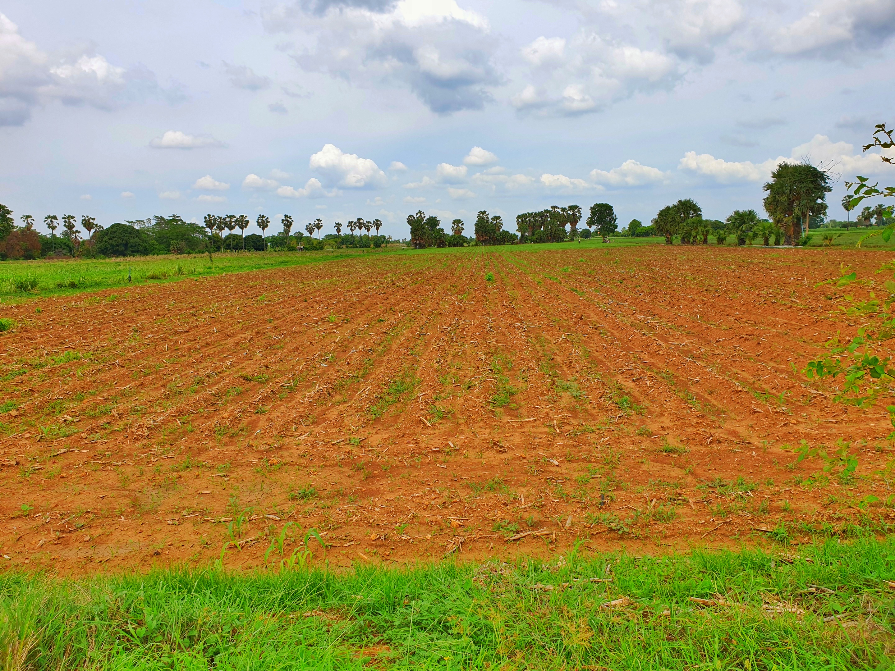 💰ขายแล้ว💰ขายที่ดินติดถนนลาดยาง วิวภูเขา อ.อู่ทอง จ. สุพรรณบุรี เนื้อที่ 9-3-18 ไร่ ขายไร่ละ 2.5 แสน ที่สวยบรรยากาศดี วิวทิวทัศน์สวยงาม ใกล้แหล่งชุมชน น้ำไฟเข้าถึง