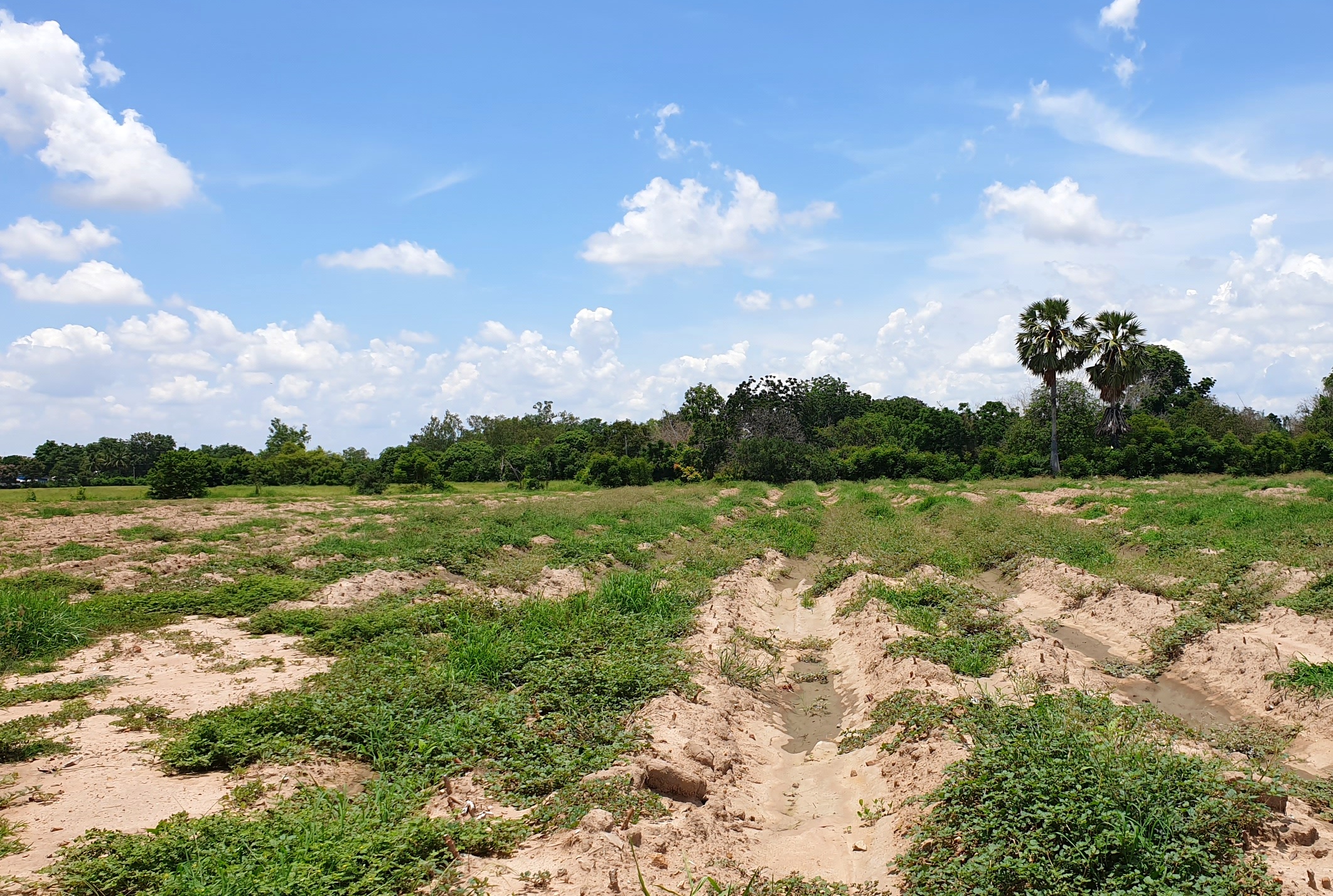 💰ขายแล้ว💰ขายที่ดินติดถนนลาดยาง ทำเลดี ที่สวยมาก จ.สุพรรณบุรี อ.ดอนเจดีย์ บรรยากาศดี วิวสวย วิวภูเขา เนื้อที่ 26-3-44 ไร่ พื้นที่มีความเจริญ การเดินทางสะดวกสบาย