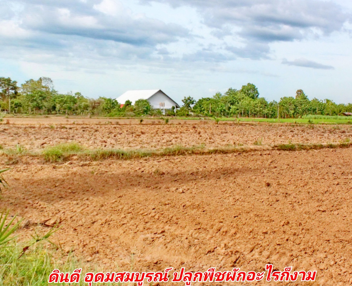 ขายทีดินเปล่า ที่สวย บรรยากาศดี อ.อู่ทอง จ.สุพรรณบุรี เนื้อที่ 37 ไร่ 2 งาน ไร่ละ 165,000 บ. ที่สวยบรรยากาศดี วิวทิวทัศน์สวยงาม ใกล้แหล่งชุมชน