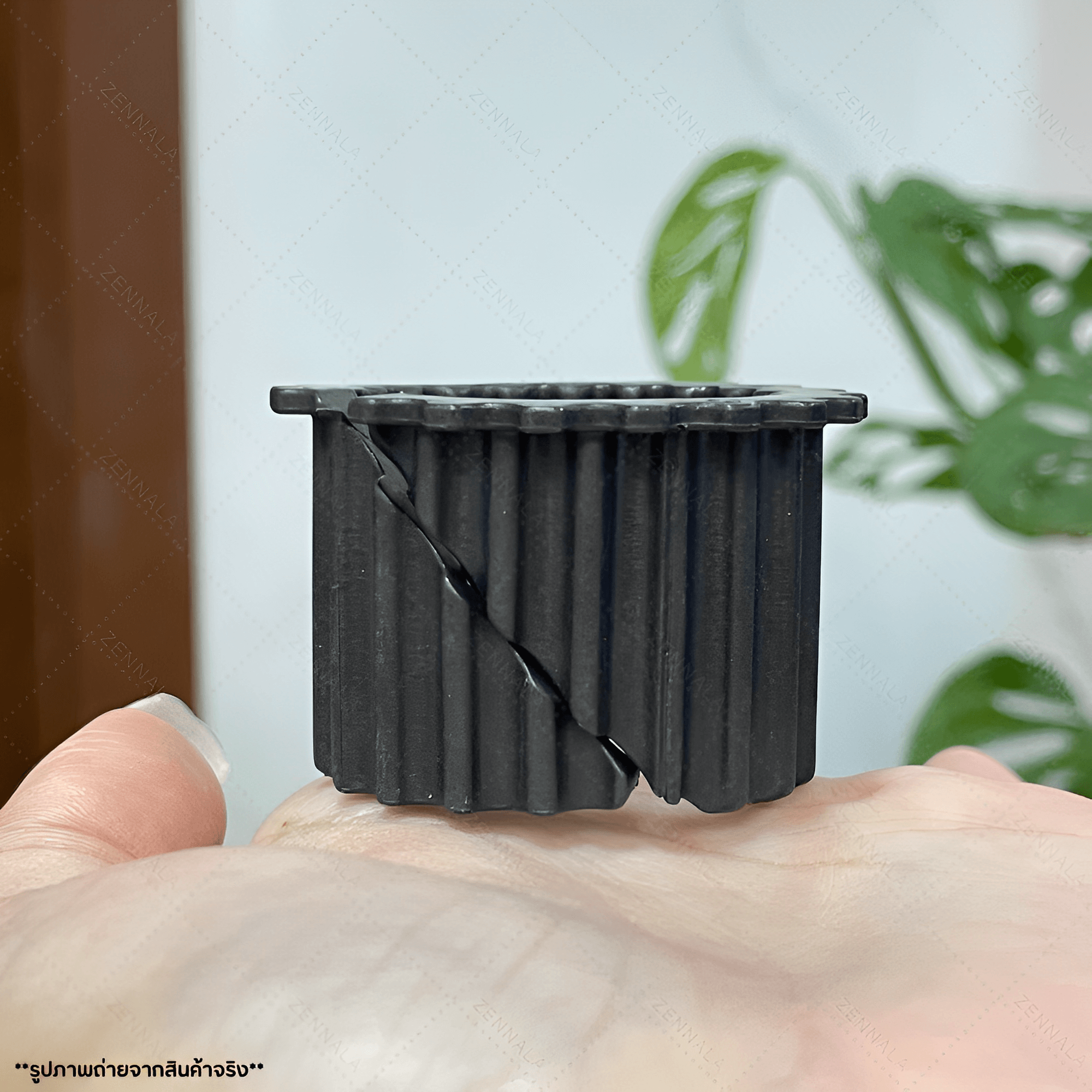 อุปกรณ์หนีบมือถือกับกล้องดูดาว NexYZ