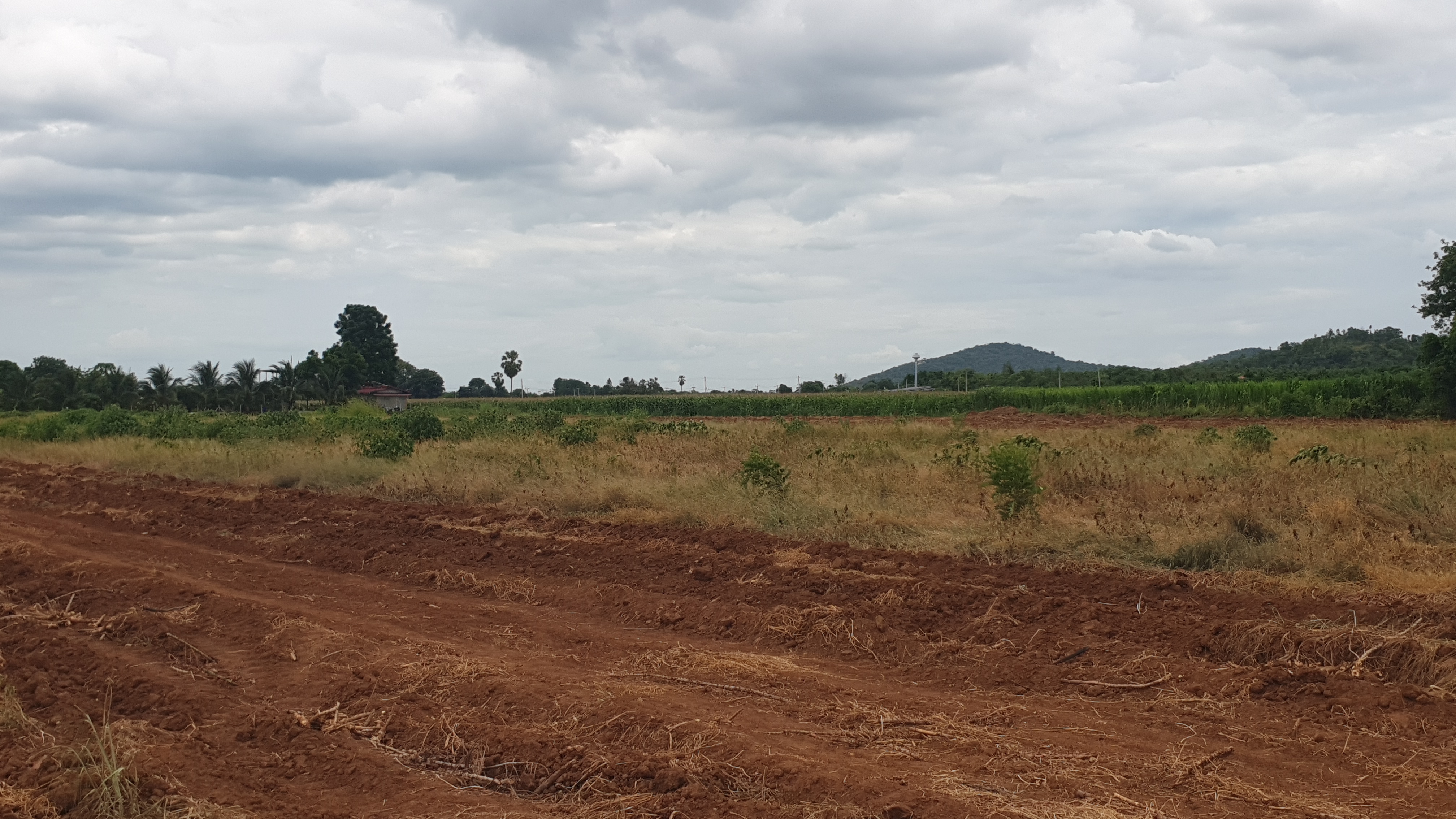 ขายที่ดินวิวภูเขา 180° อ.อู่ทอง จ.สุพรรณบุรี ใกล้แลนด์มาร์คสำคัญใน อ.อู่ทอง เนื้อที่: 16 ไร่ 1 งาน 26.8 ตร.ว. | ราคาไร่ละ 308,888 บาท ต.พลับพลาไชย อ.อู่ทอง จ.สุพรรณบุรี