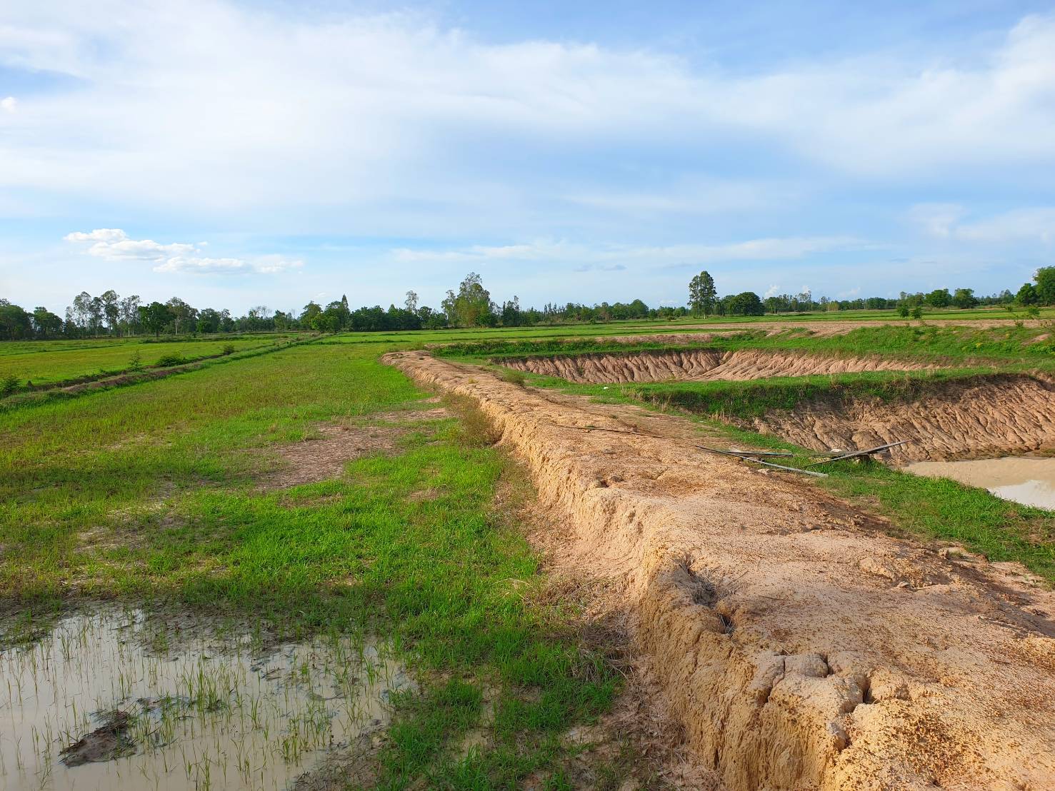 💰ขายแล้ว💰ขายที่ดินทำสวนเกษตร ที่สวย ติดถนน ติดคลอง อ.อู่ทอง จ.สุพรรณบุรี เนื้อที่ 19-1-87 ไร่ ไร่ละ 140,000 บ.