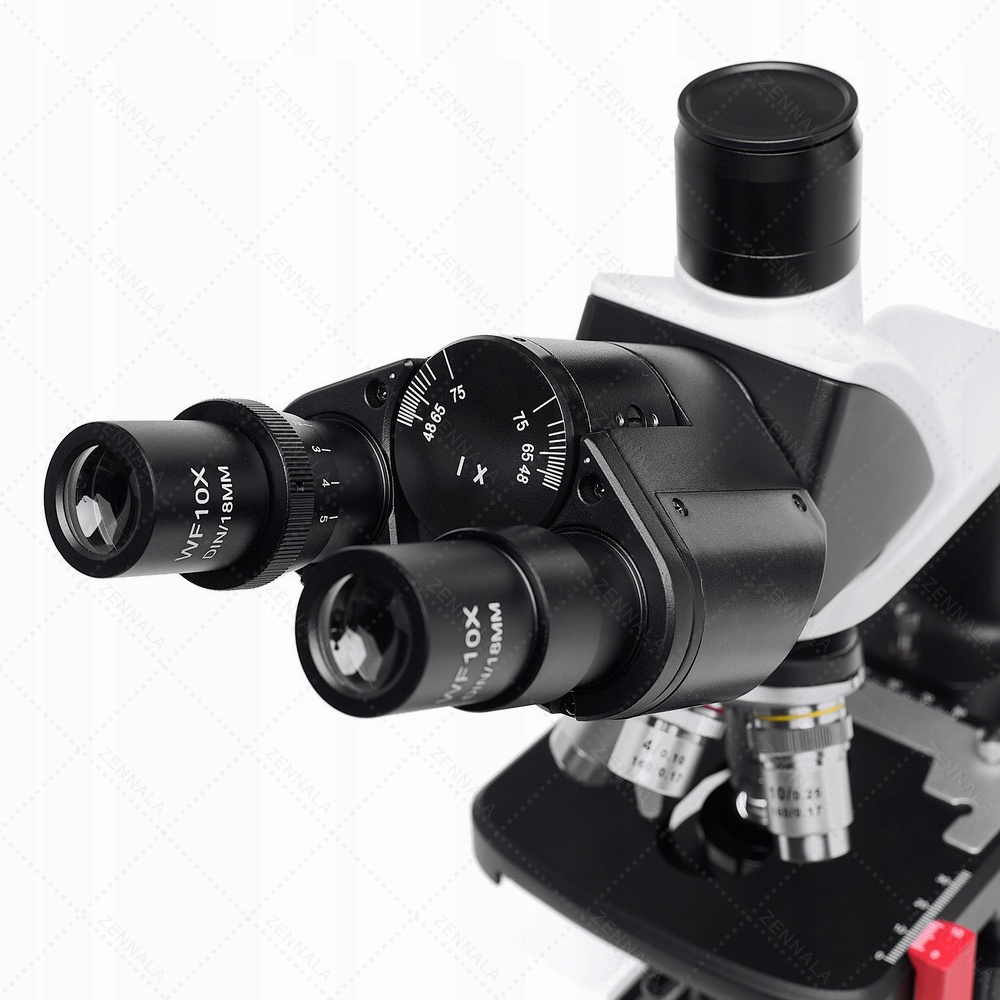 กล้องจุลทรรศน์ 2 ตา Trinocular 2500x มีช่องต่อกล้อง ต่อจอเสริม รุ่น BX25