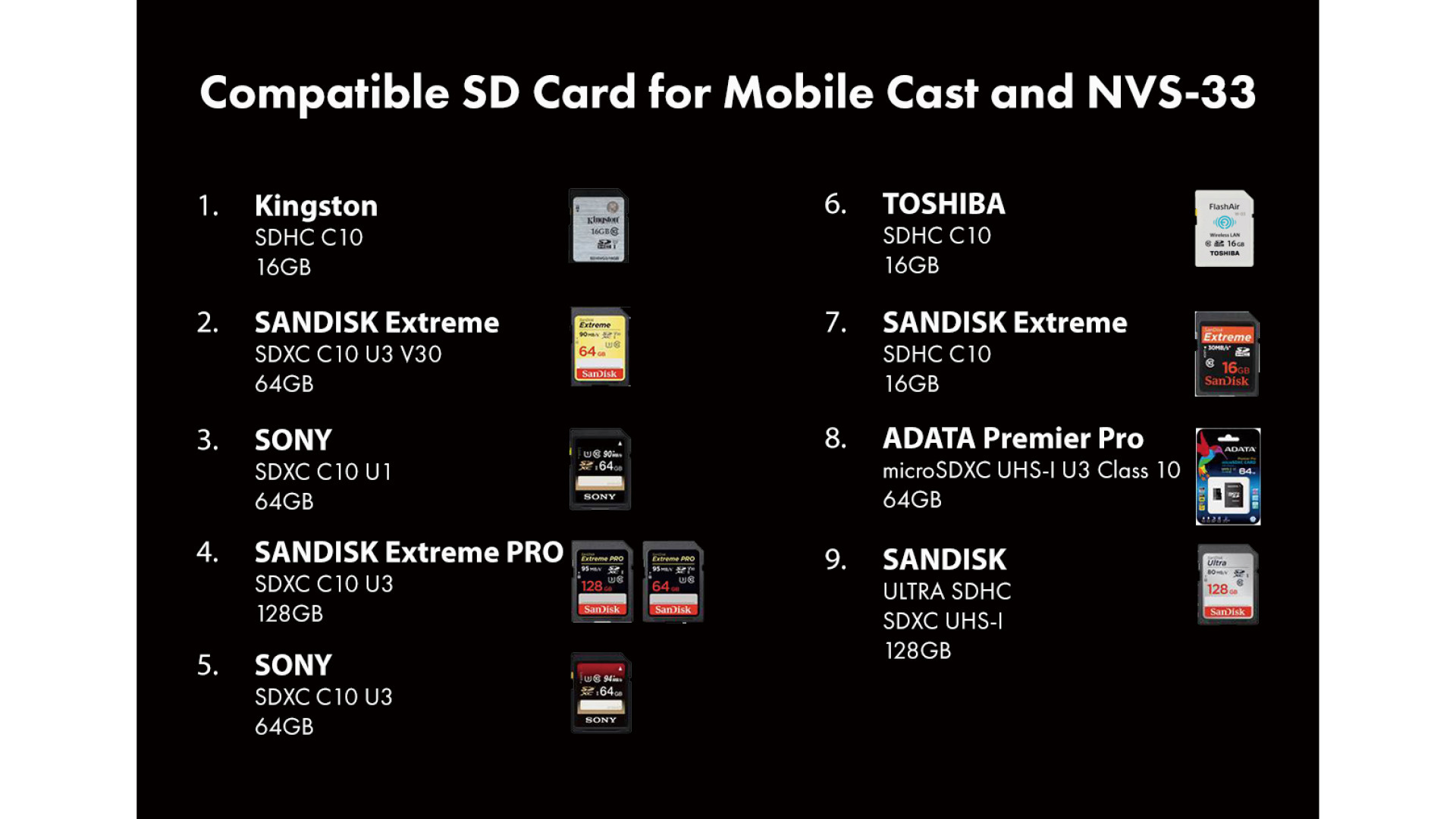 DATAVIDEO NVS-33 H.264 Video Streaming Encoder and MP4 Recorder
