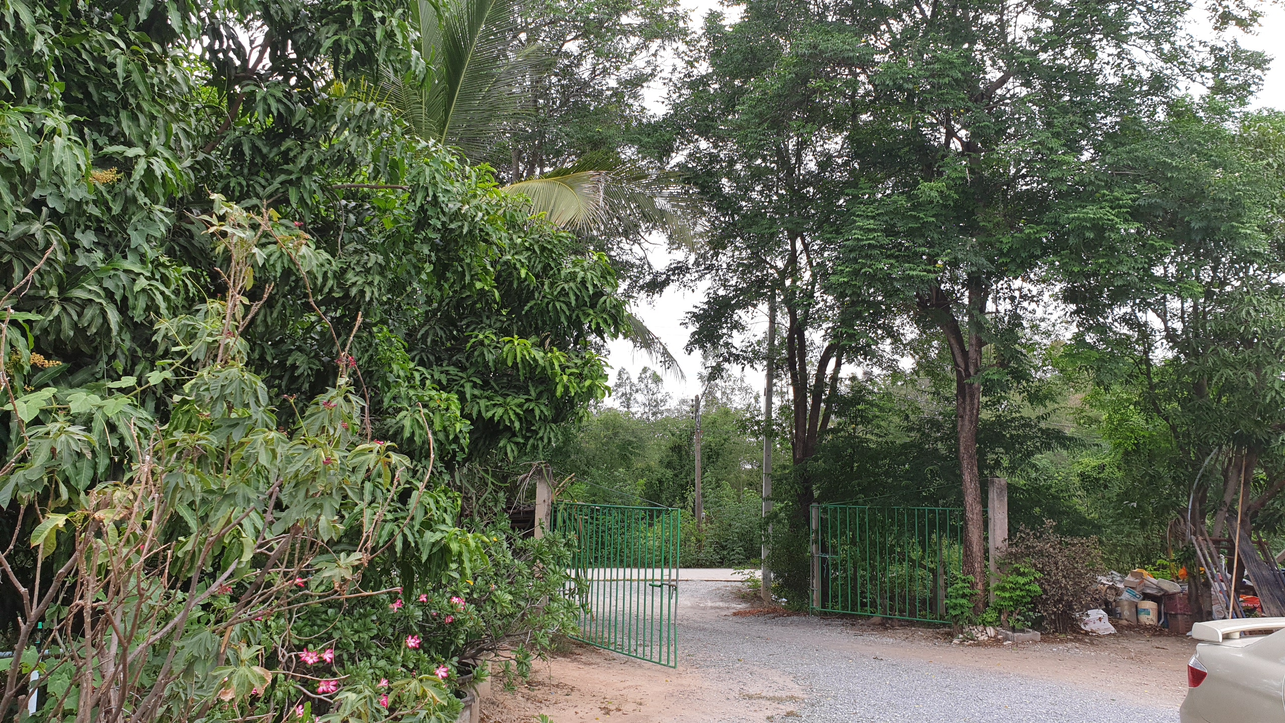 💰ขายแล้ว💰ขายที่ดินสวนมะพร้าวน้ำหอม อ.อู่ทอง จ.สุพรรณบุรี เนื้อที่ 20 ไร่ พร้อมบ้านสวยพร้อมอยู่ ขายยกแปลง 12 ล้าน บรรยากาศดี สงบ ร่มรื่น น้ำท่า อุดมสมบูรณ์