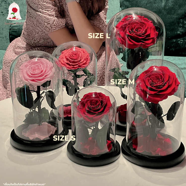 กุหลาบสดในโหลแก้ว 3 ขนาด Size S, M, L พร้อมกล่องสุด Premium