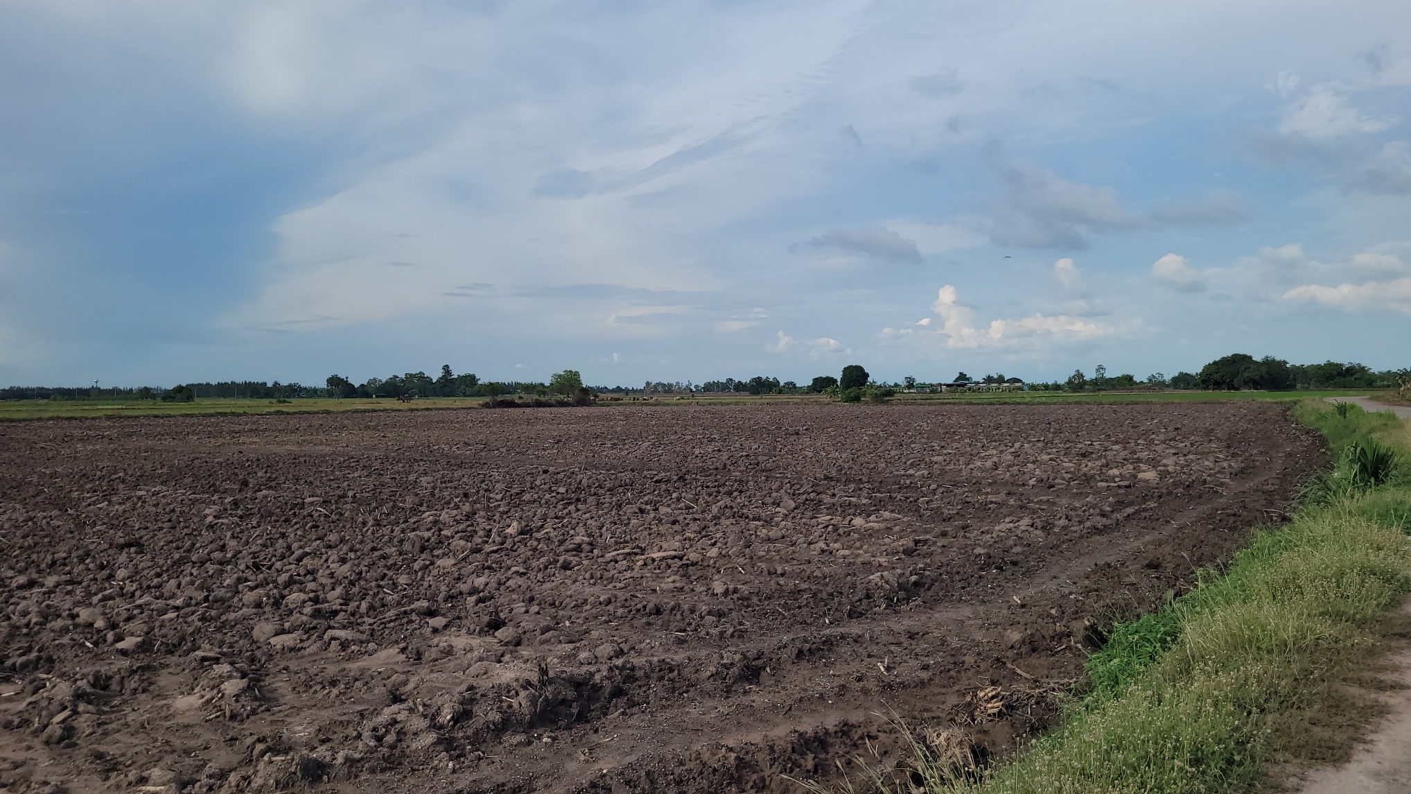 โอกาสทองในการลงทุน! ที่ดินขนาดใหญ่ 11 ไร่ ทำเลดี อ.อู่ทอง สุพรรณบุรี พร้อมพัฒนาเป็นโครงการรีสอร์ท หรือเกษตรกรรม รับประกันการเติบโตในอนาคต