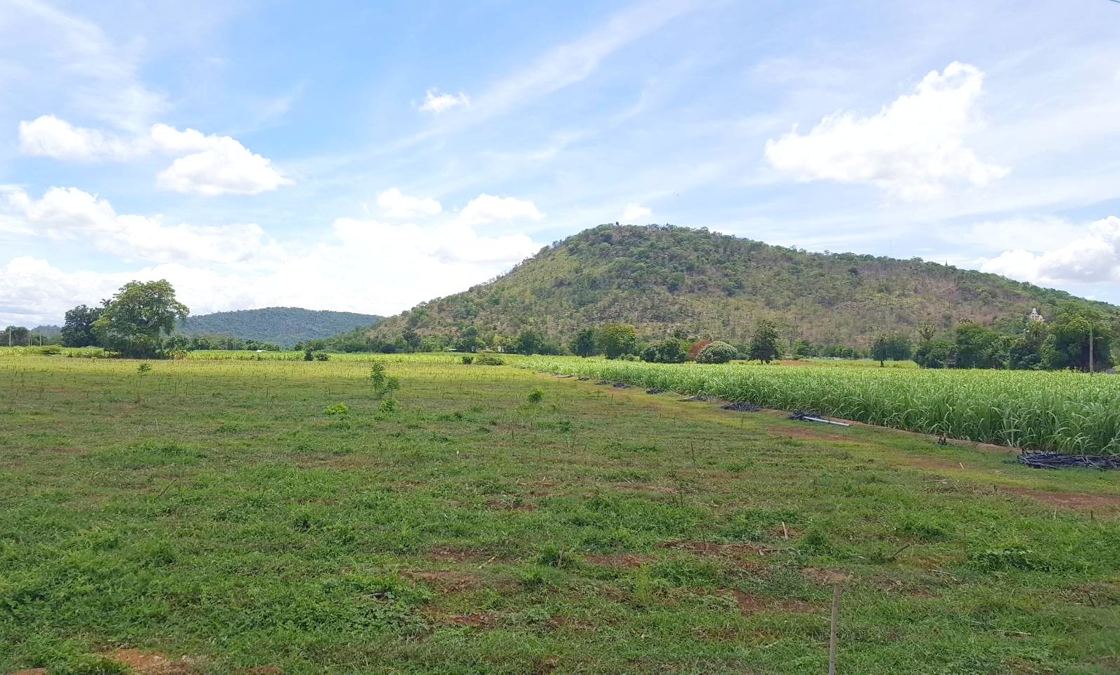 💰ขายแล้ว💰ขายที่ดินวิวสวย ติดถนนลาดยาง บรรยากาศดี วิวทิวทัศน์สวยงาม อ.อู่ทอง จ.สุพรรณบุรี เนื้อที่ 10 ไร่ ราคาไร่ละ 280,000 บาท ด้านหน้าติดถนนลาดยาง เข้า-ออก ได้หลายทาง