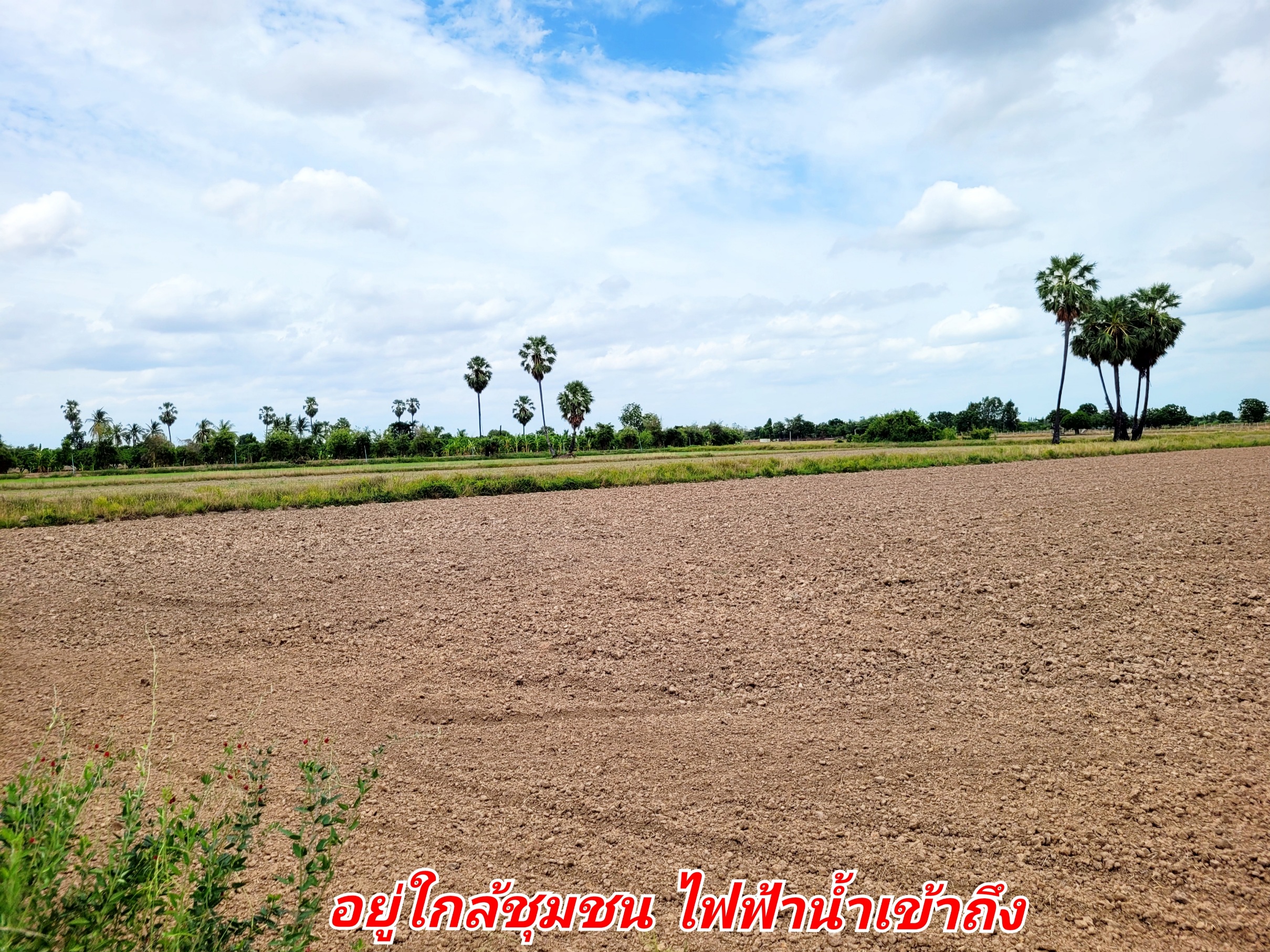 ขายที่ดินแปลงสวย อ. อู่ทอง จ.สุพรรณบุรี ดินดี ที่สวย เนื้อที่ 4-3-95 ไร่ ขายยกแปลง 1,250,000 บาท อยู่ใกล้ชุมชน เซเว่น รร วัด ตลาดนัด จากถนนทางหลวง 333 ประมาณ 900 เมตร