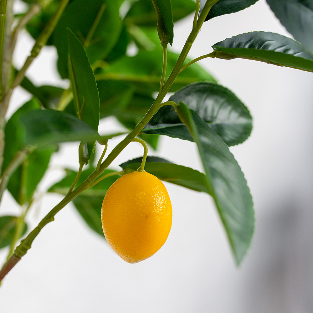 ต้นเลม่อนปลอม🍋 พร้อมกระถาง (ขนาด120cm)